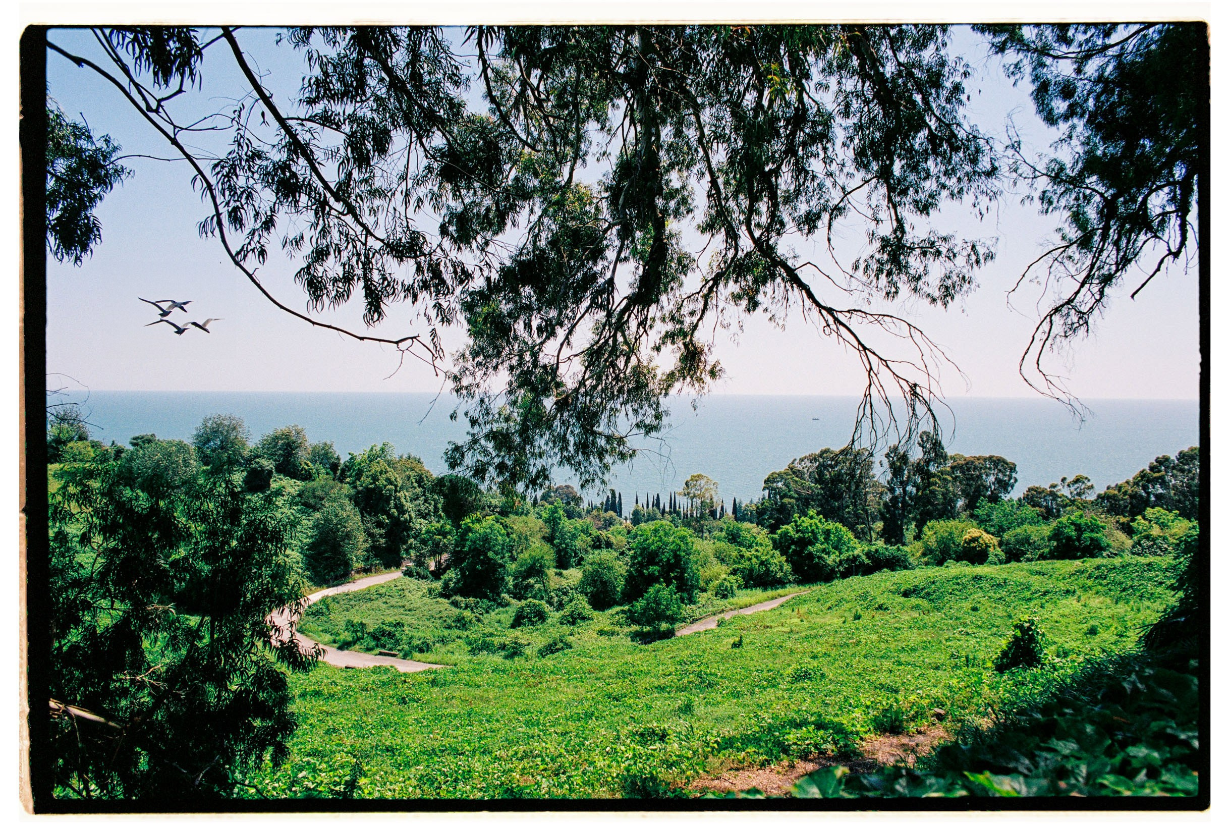 Abkhazia-2023. Никита Демидов. Nikita Demidov