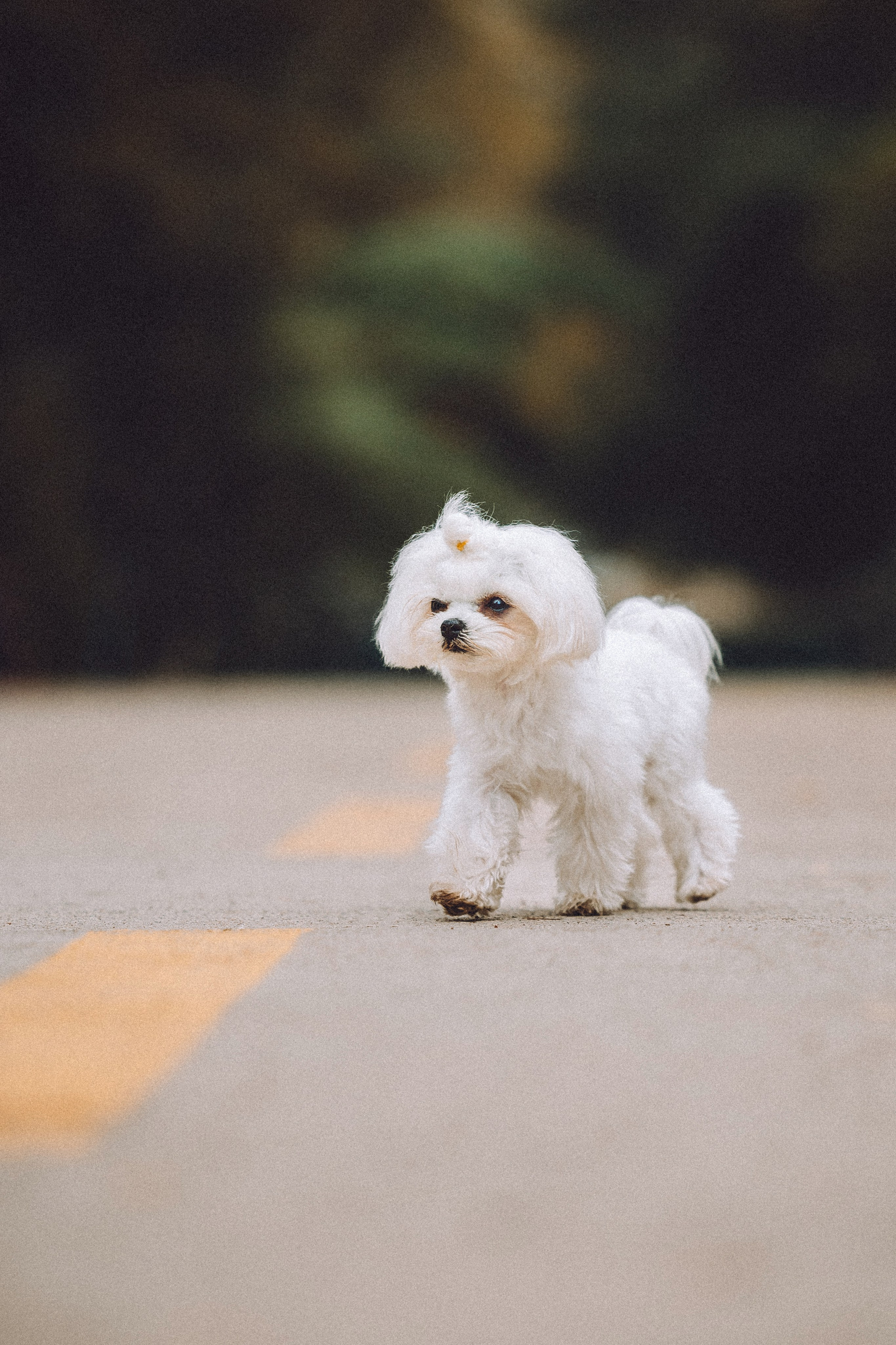 Настя и Гоша