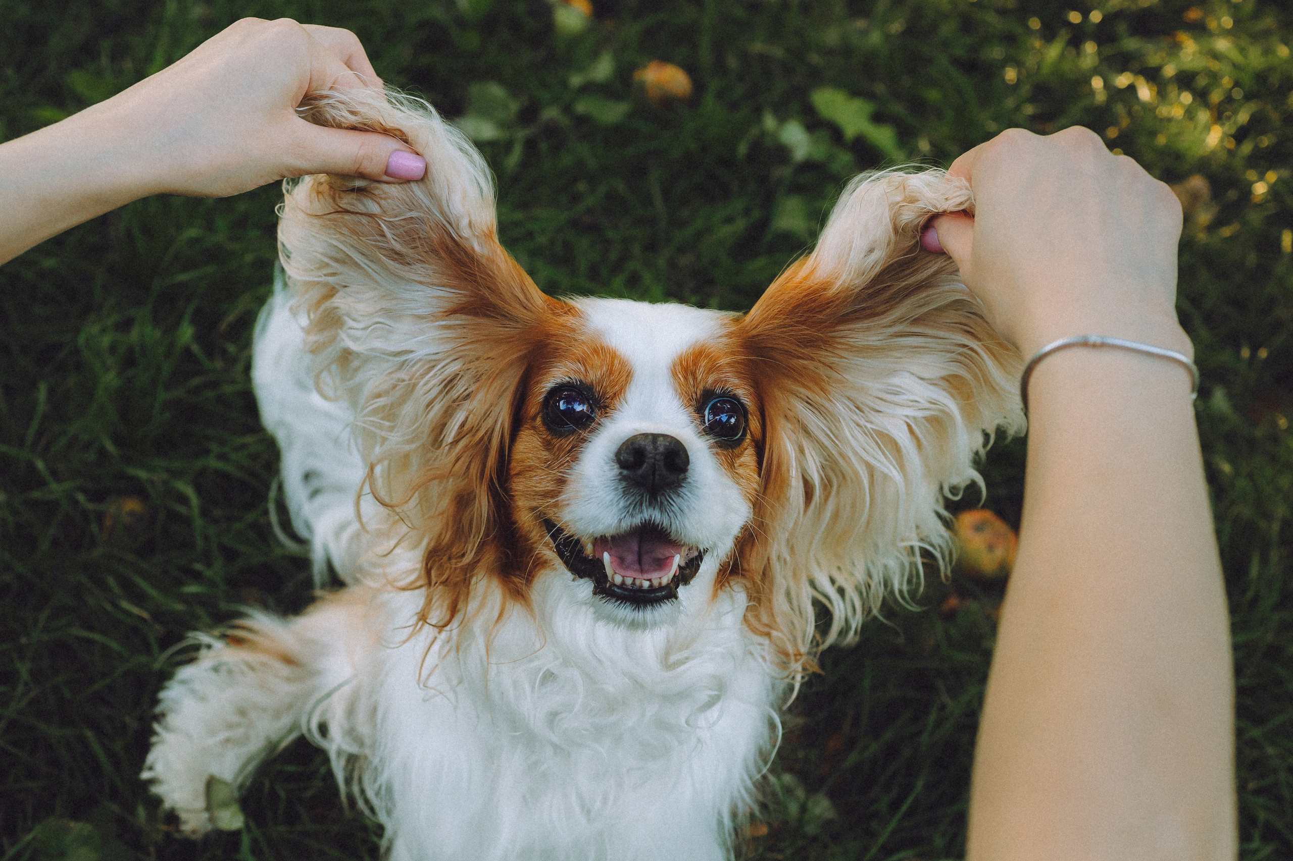 Наташа и Вики