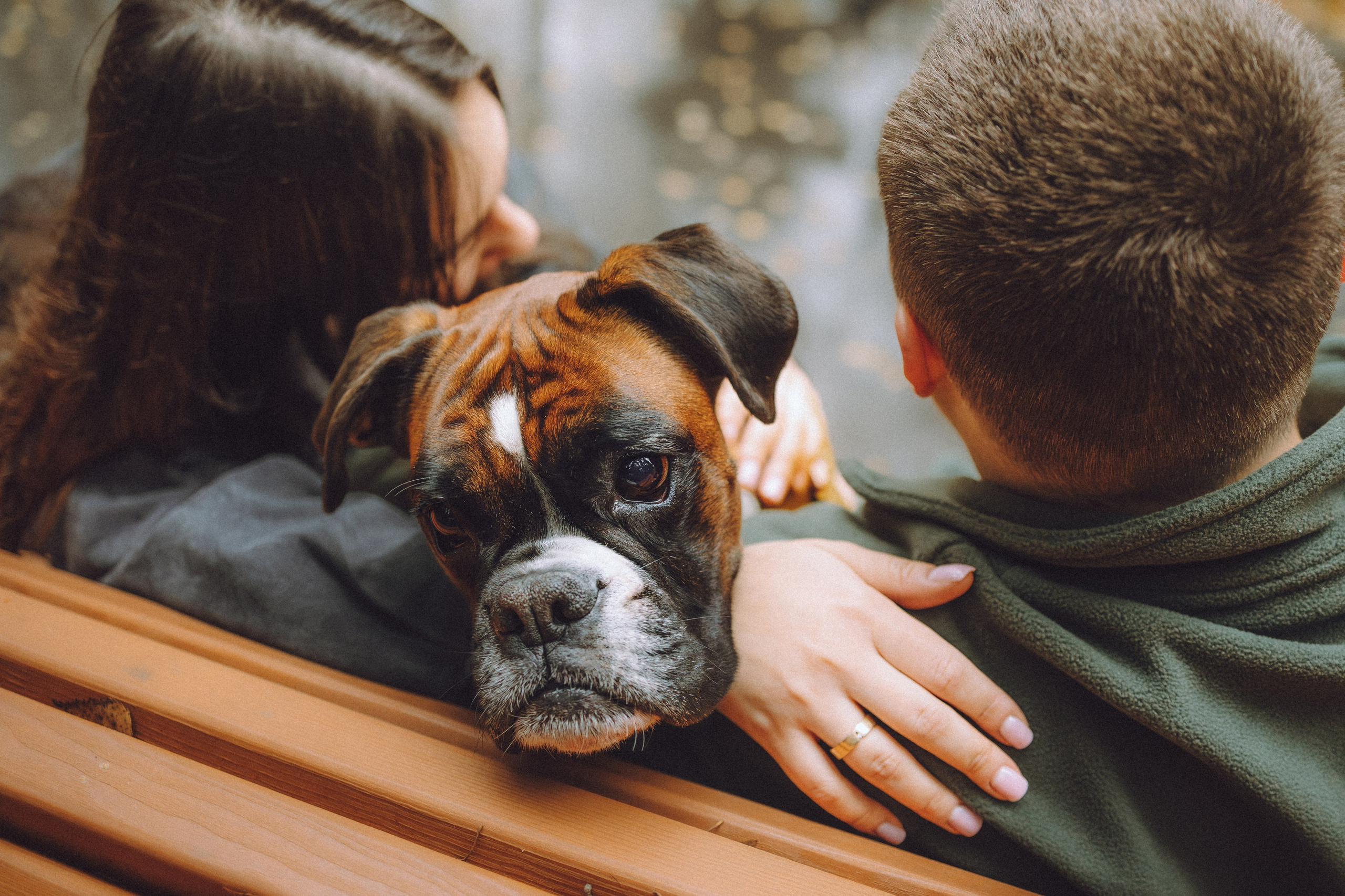 Элли и ее семья