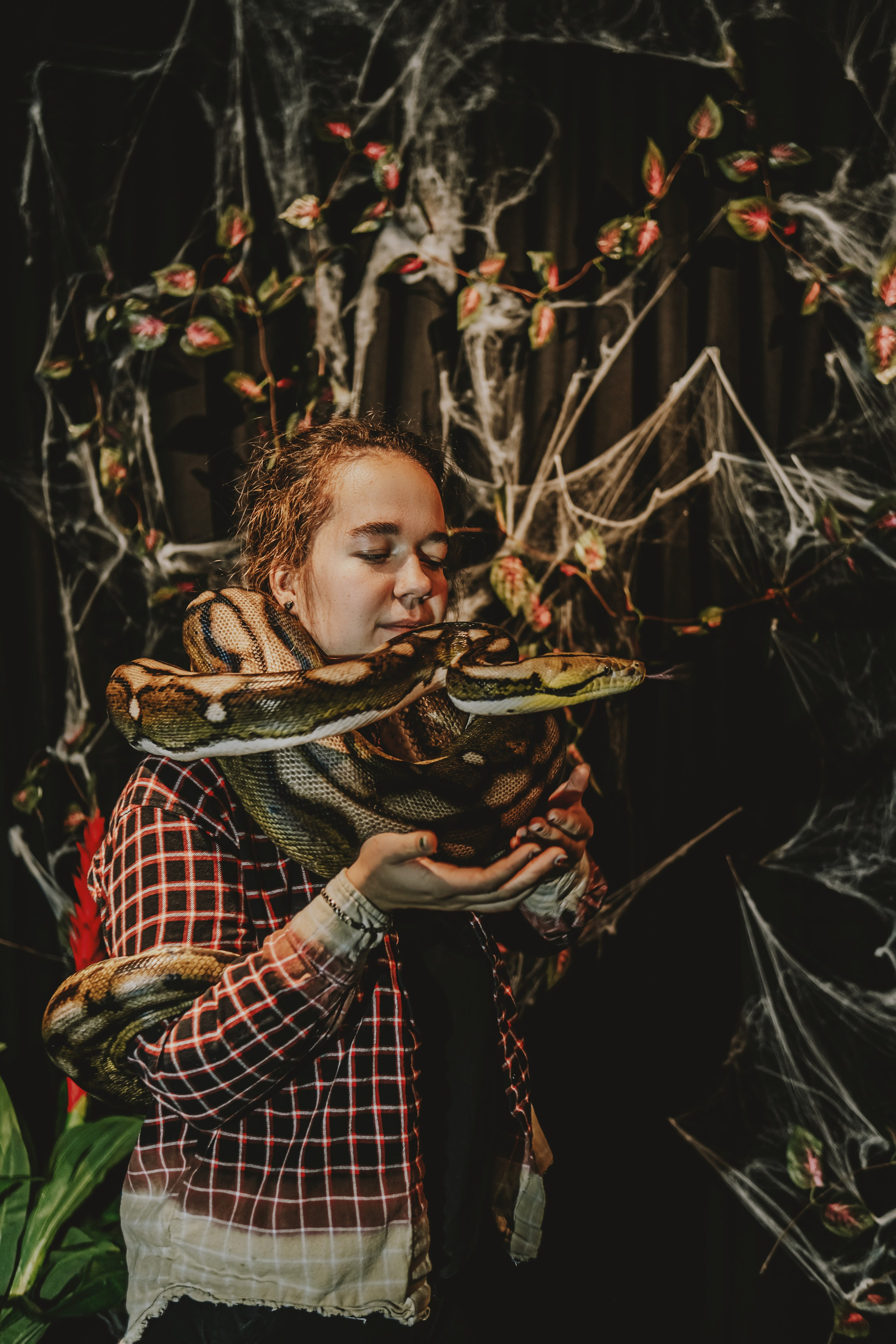 Дом Драконов. Nattie.ph