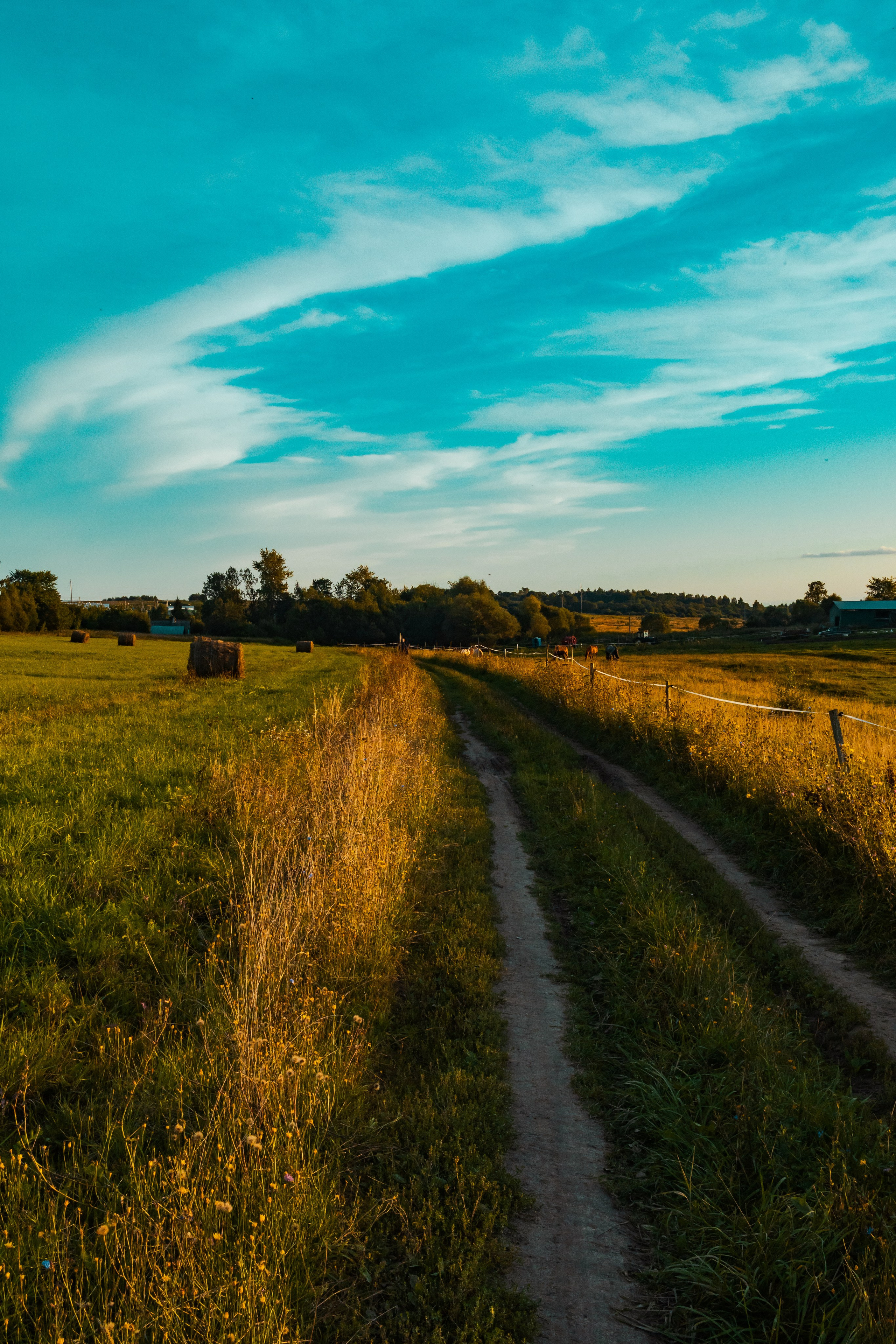 Деревня Мишнево | Калужская область. Папка кадров 📁