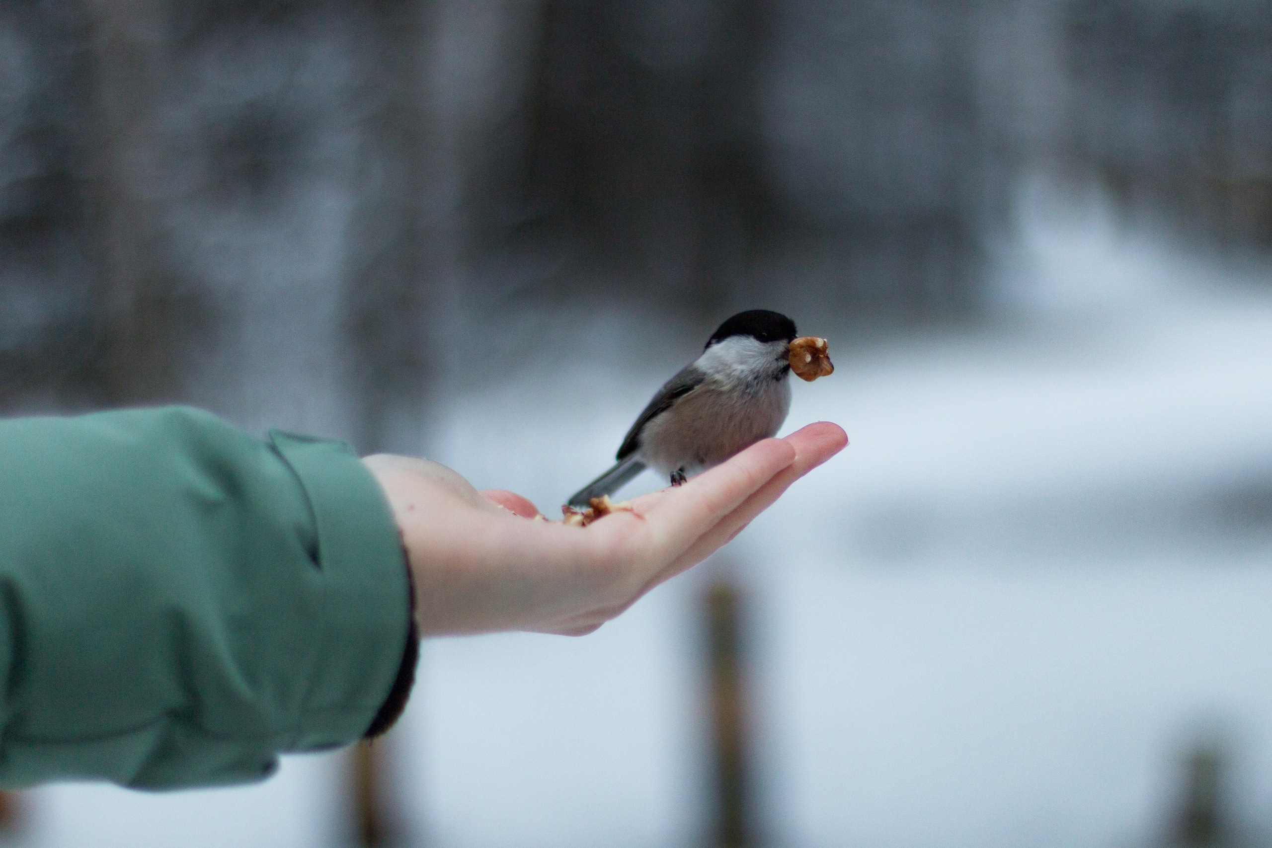 Лиза. Фотограф в Сочи