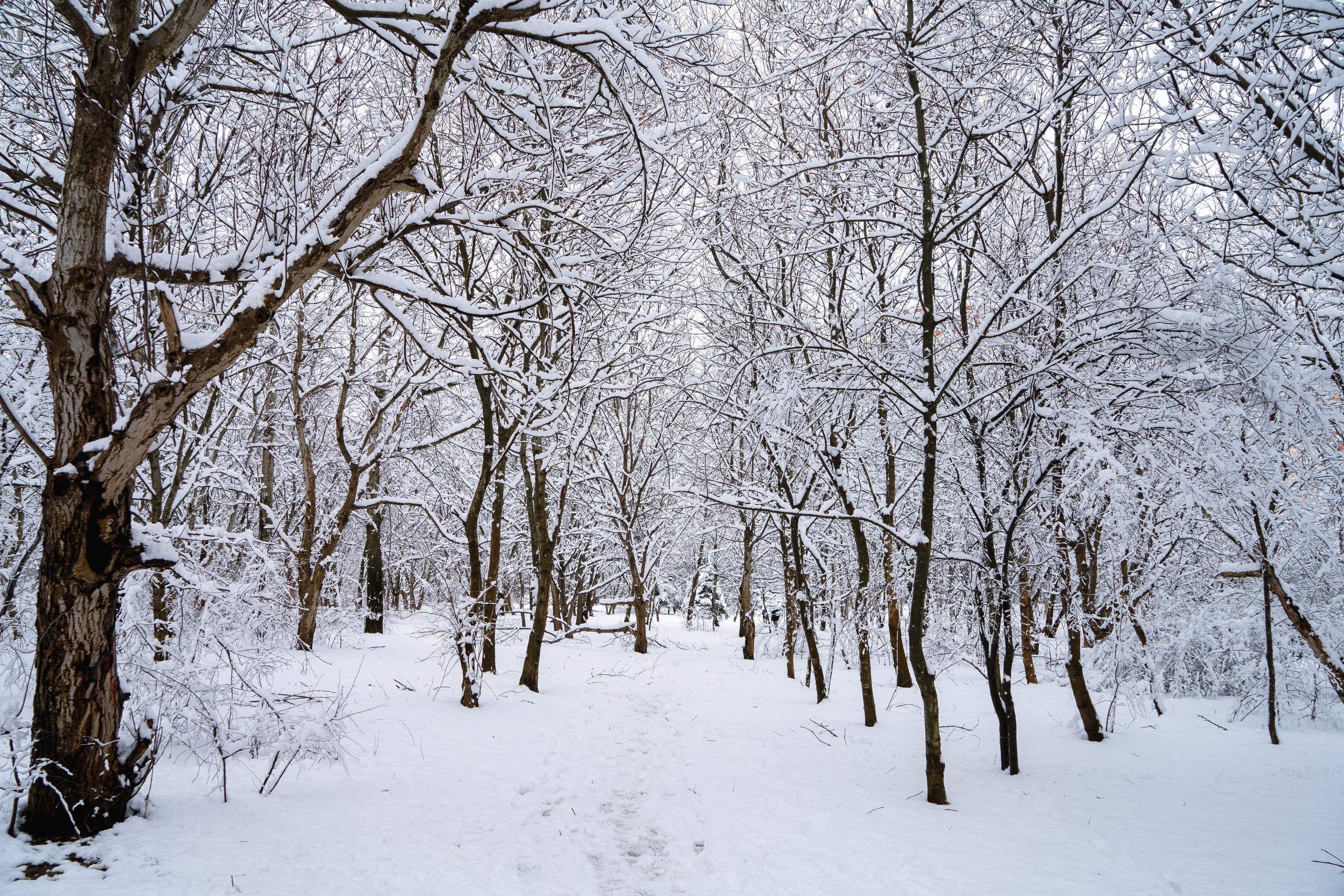 Зима 2024. Свадебный и семейный фотограф/видеограф в Краснодаре Наталья Осинская