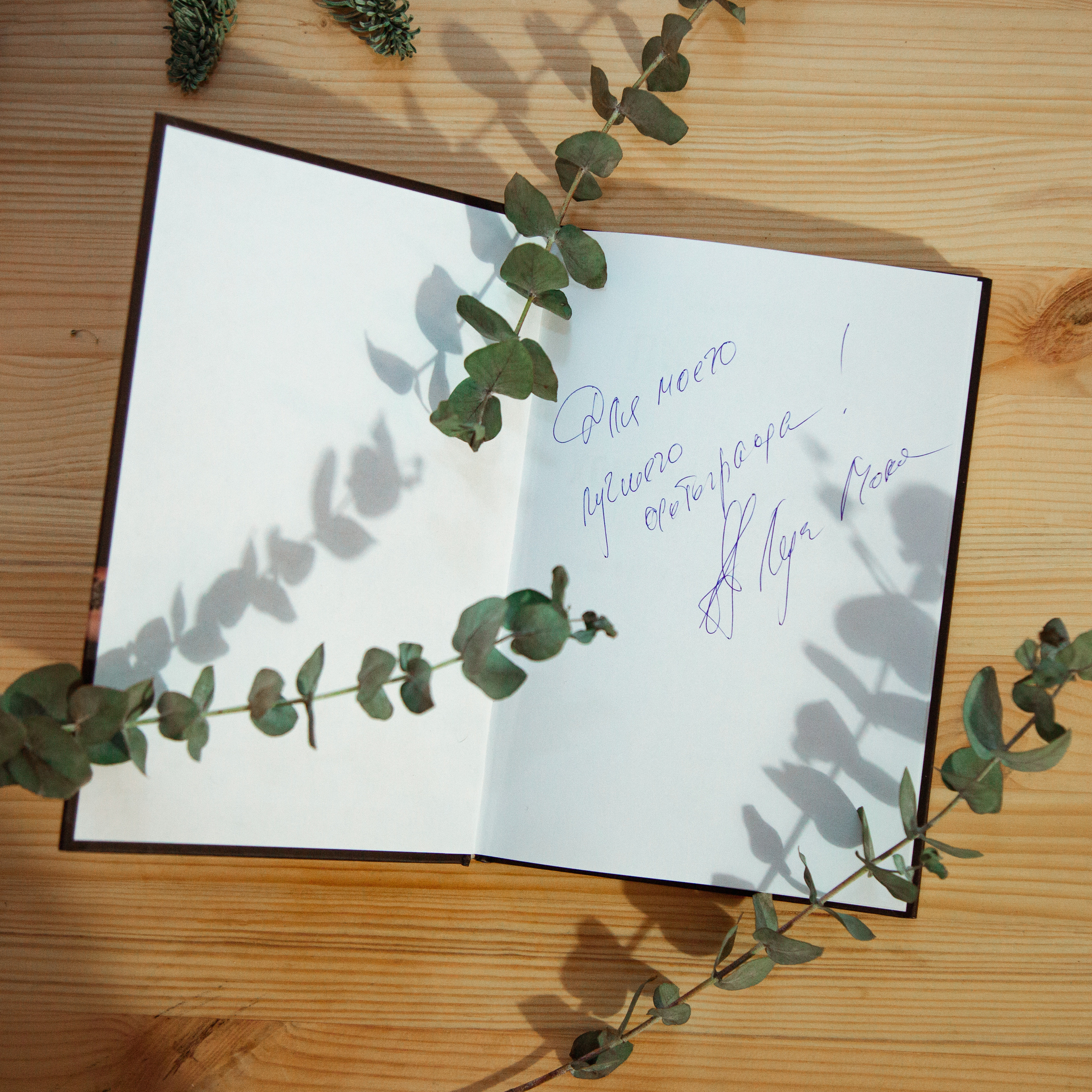 МОИ РАБОТЫ НА ОБЛОЖКАХ КНИГ. MARIA SOKOLOVA