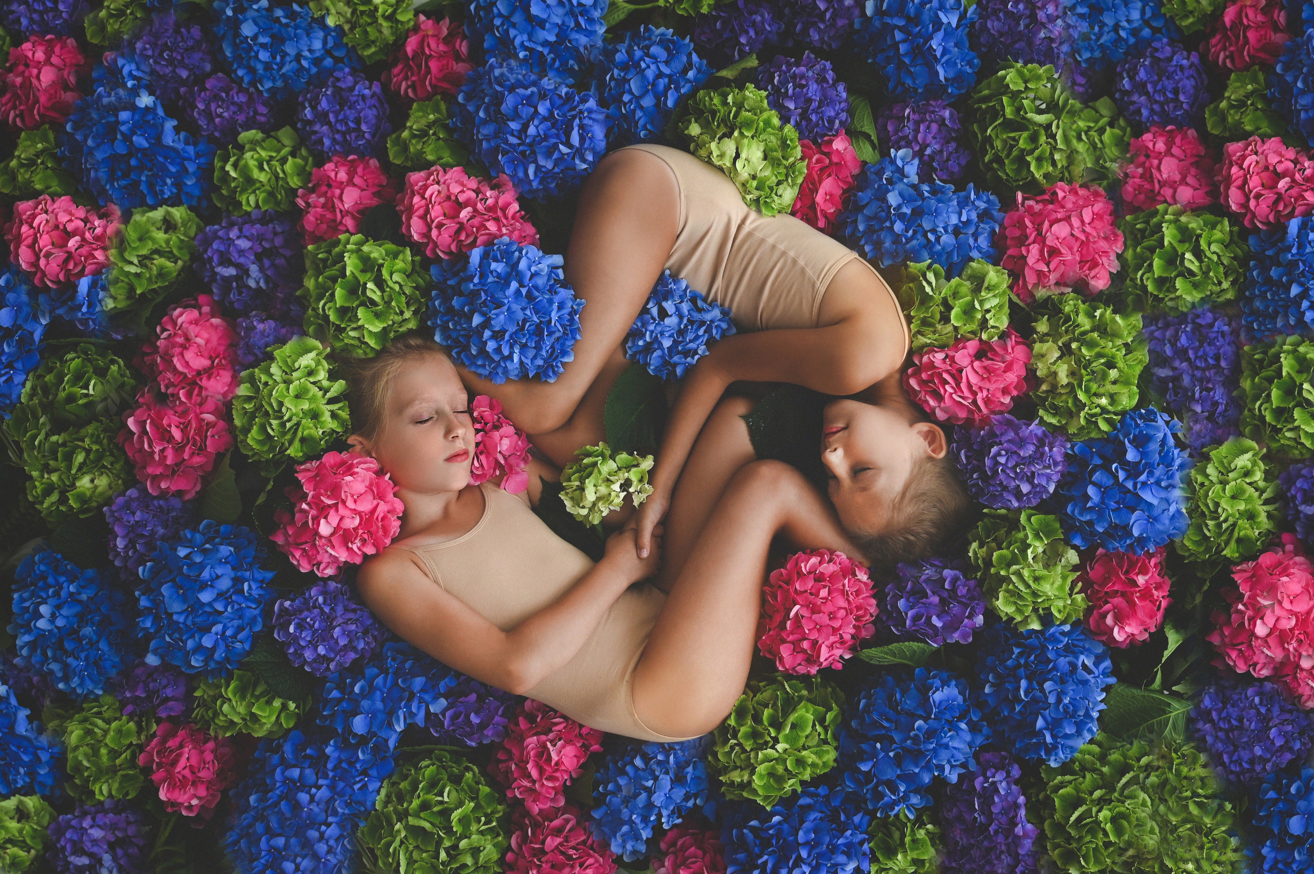 Гортензии. Фотограф новорожденных и детей в Барнауле — Екатерина Шапкина