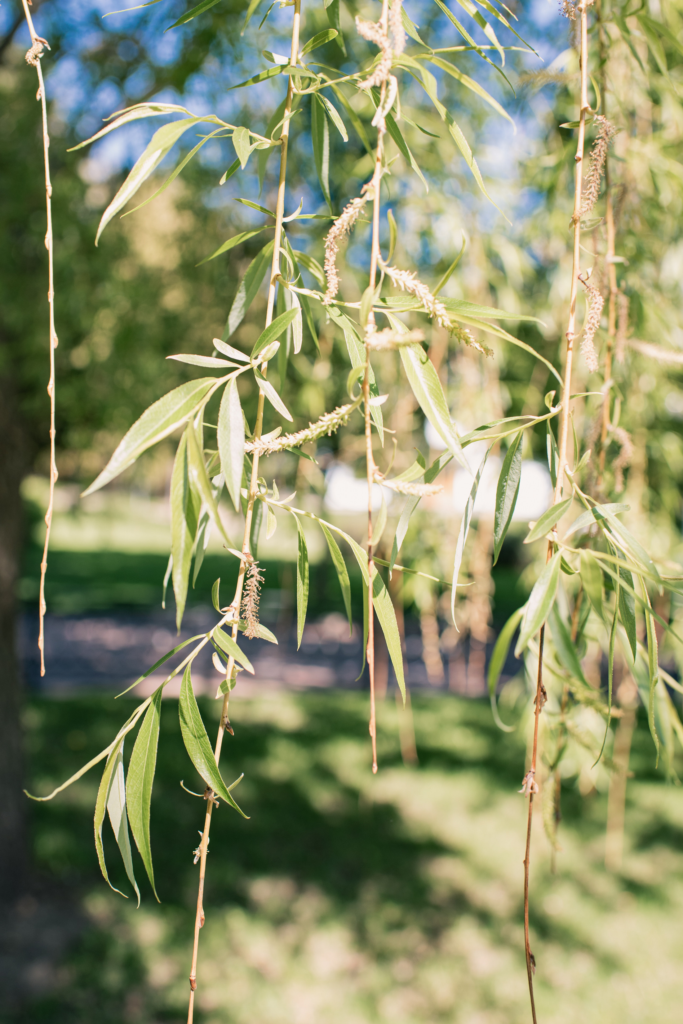 Майская прогулка с двумя сорванцами. Семейный фотограф в Москве Анна Коропова
