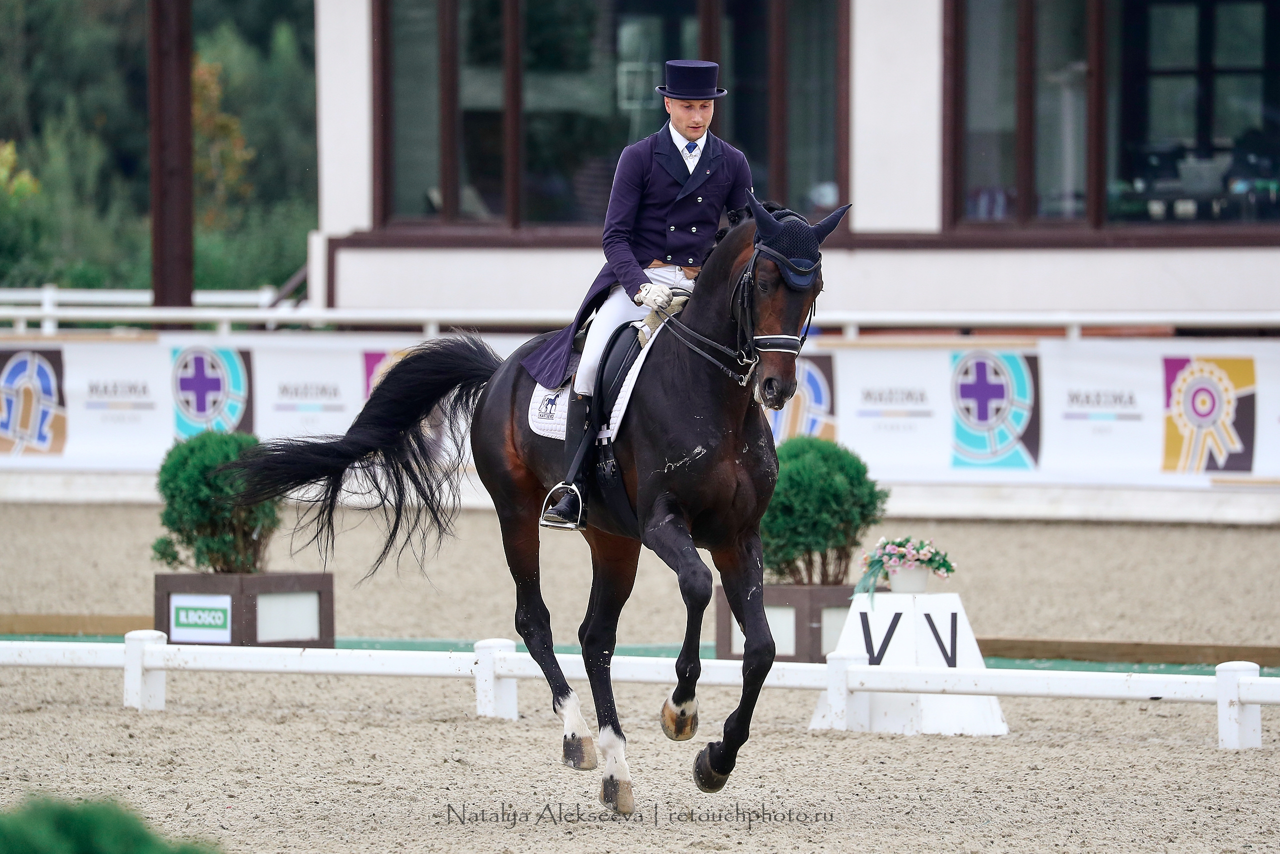 Чемпионат России по выездке, Maxima Stables | 09'2020. Репортажный фотограф и ретушер в Москве Наталья Алексеева