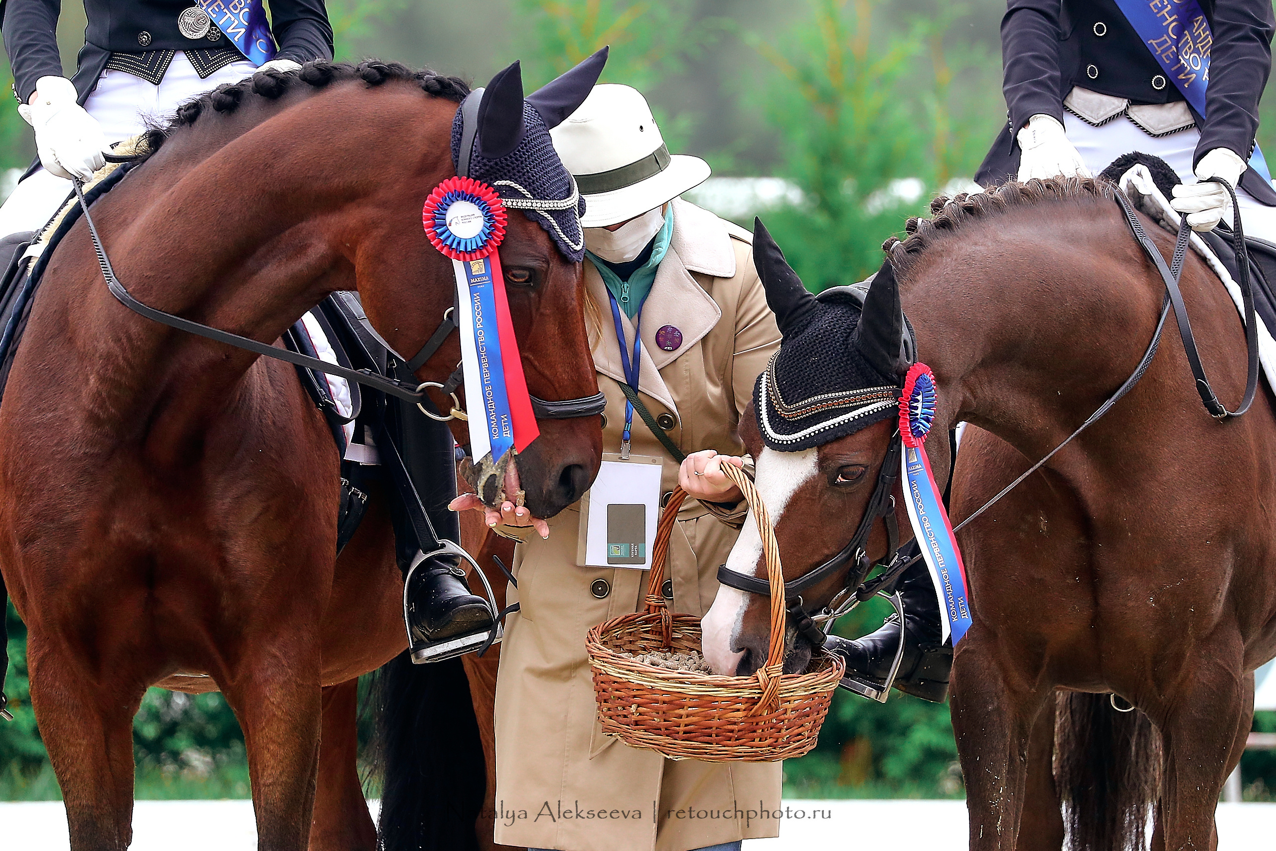 Первенство России по выездке, Maxima Stables | 09'2020. Репортажный фотограф и ретушер в Москве Наталья Алексеева