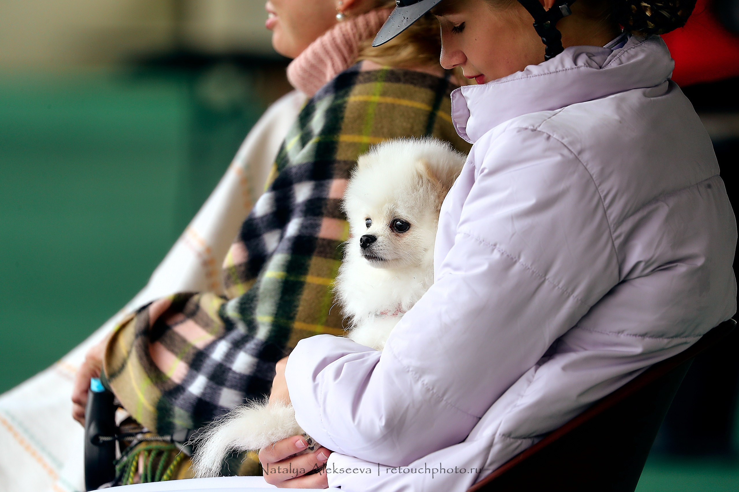 Первенство России по выездке, Maxima Stables | 09'2020. Репортажный фотограф и ретушер в Москве Наталья Алексеева