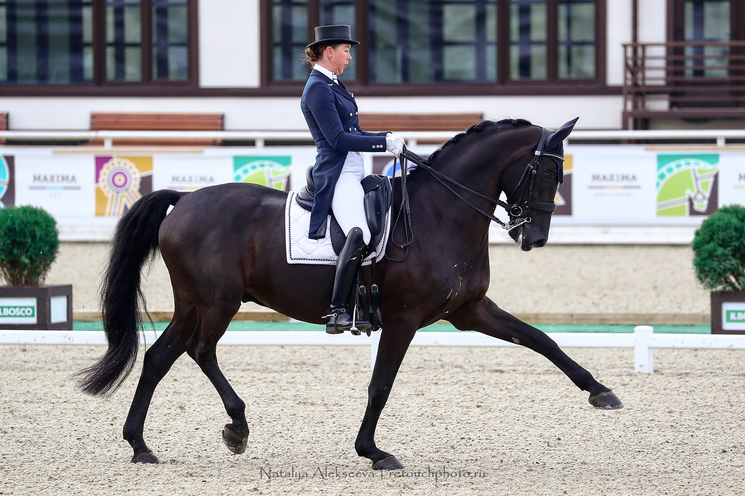 Чемпионат России по выездке, Maxima Stables | 09'2020. Репортажный фотограф и ретушер в Москве Наталья Алексеева