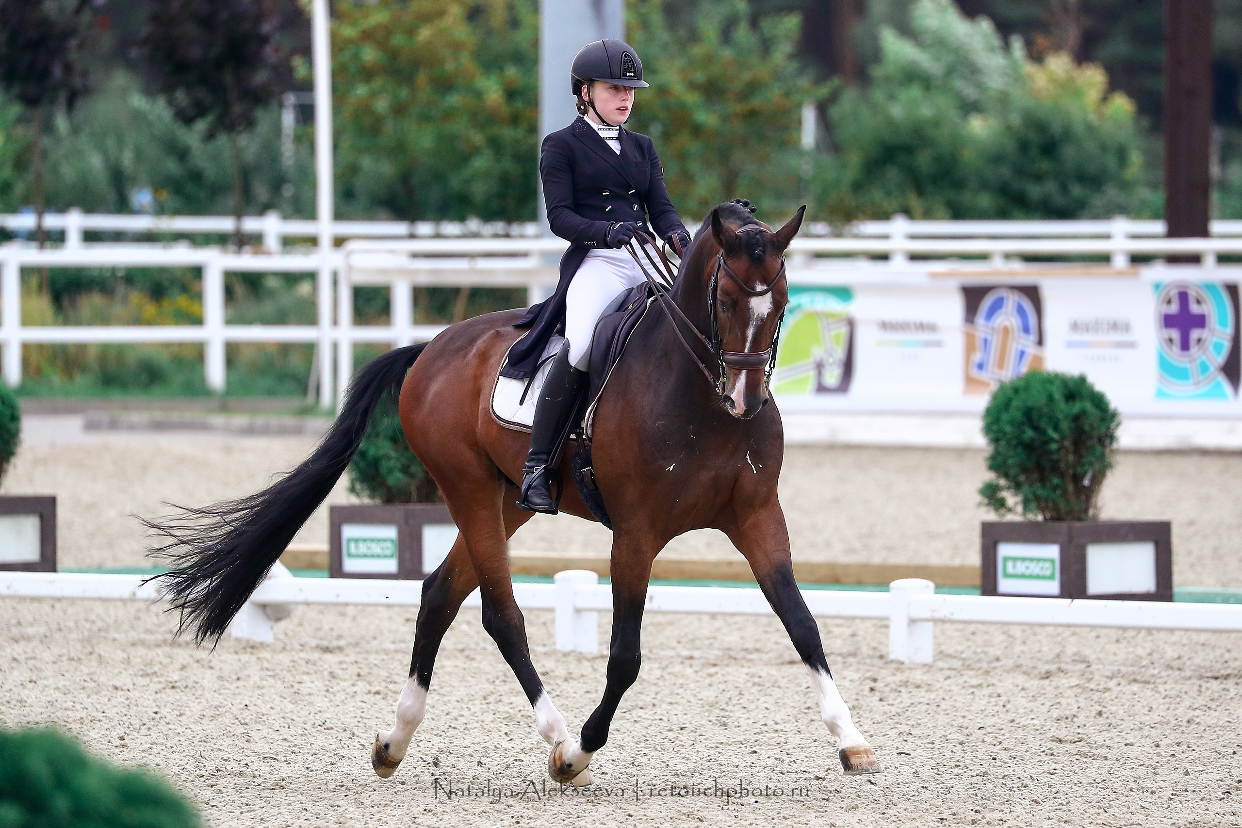 Чемпионат России по выездке, Maxima Stables | 09'2020. Репортажный фотограф и ретушер в Москве Наталья Алексеева