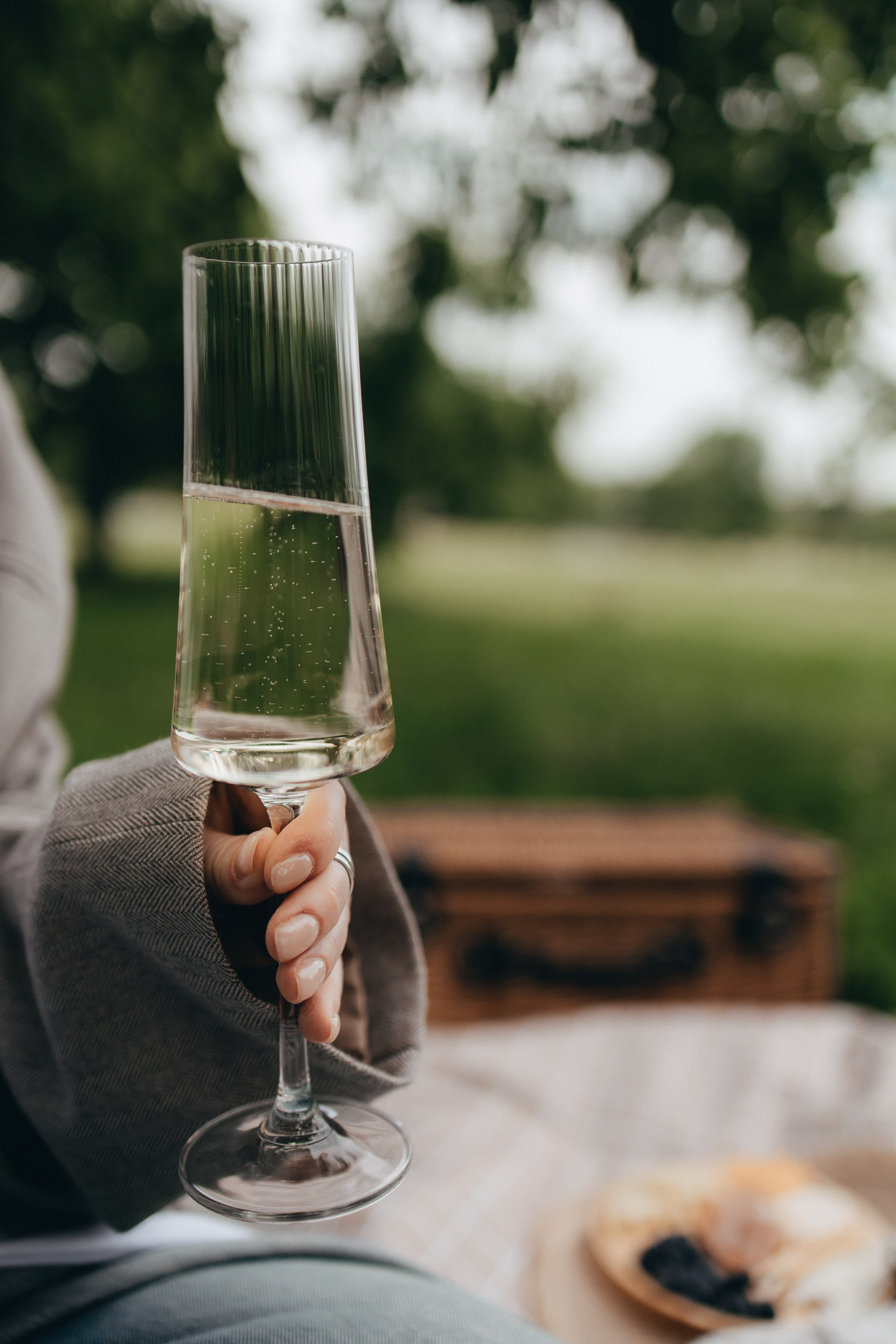 Прогулка и пикник в парке. Семейный фотограф в Москве, Щелково, Фрязино _ Виктория Степанова