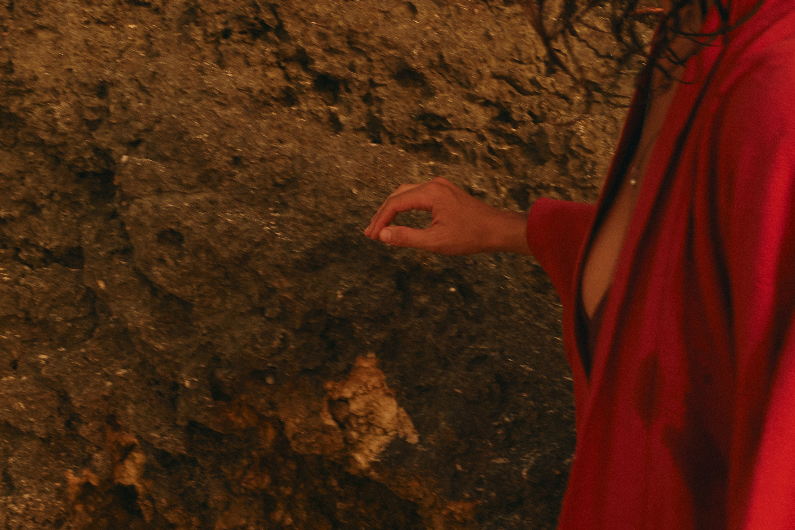 Катя. Виолетта Скрипка