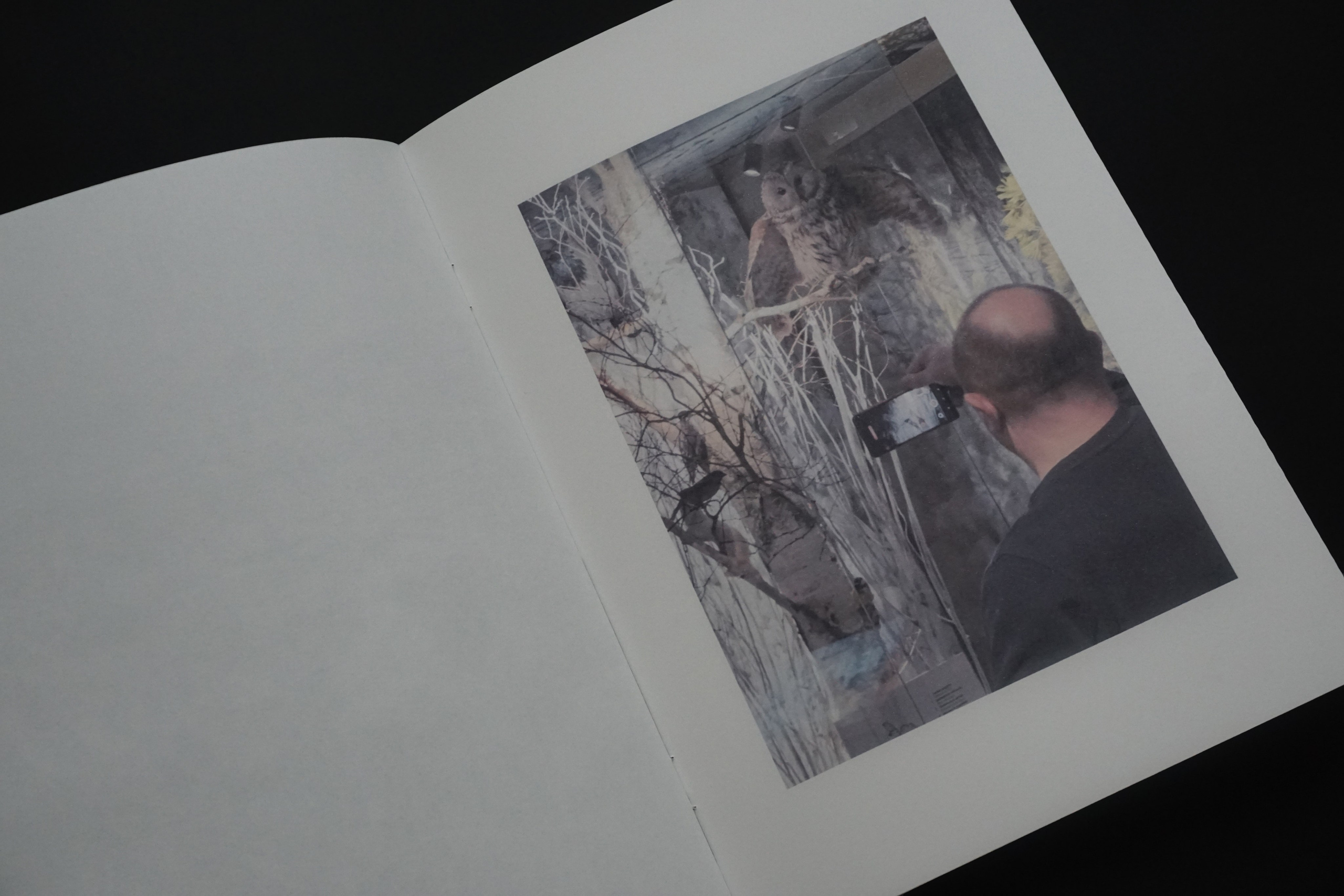 Overview. Anastasia Maryasova