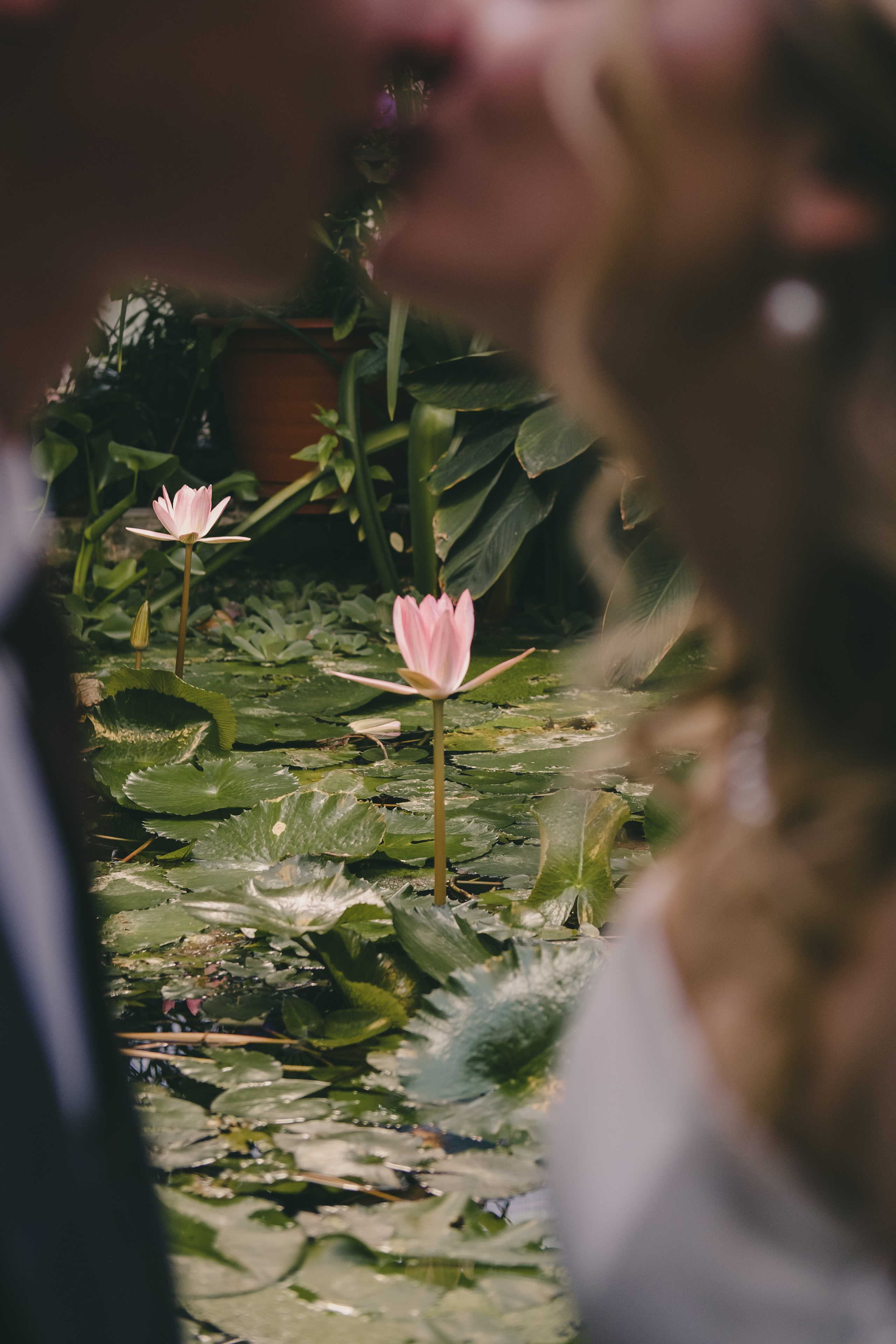 Свадьба Виктории и Никиты. Свадебный и семейный фотограф Анастасия Зырянкина