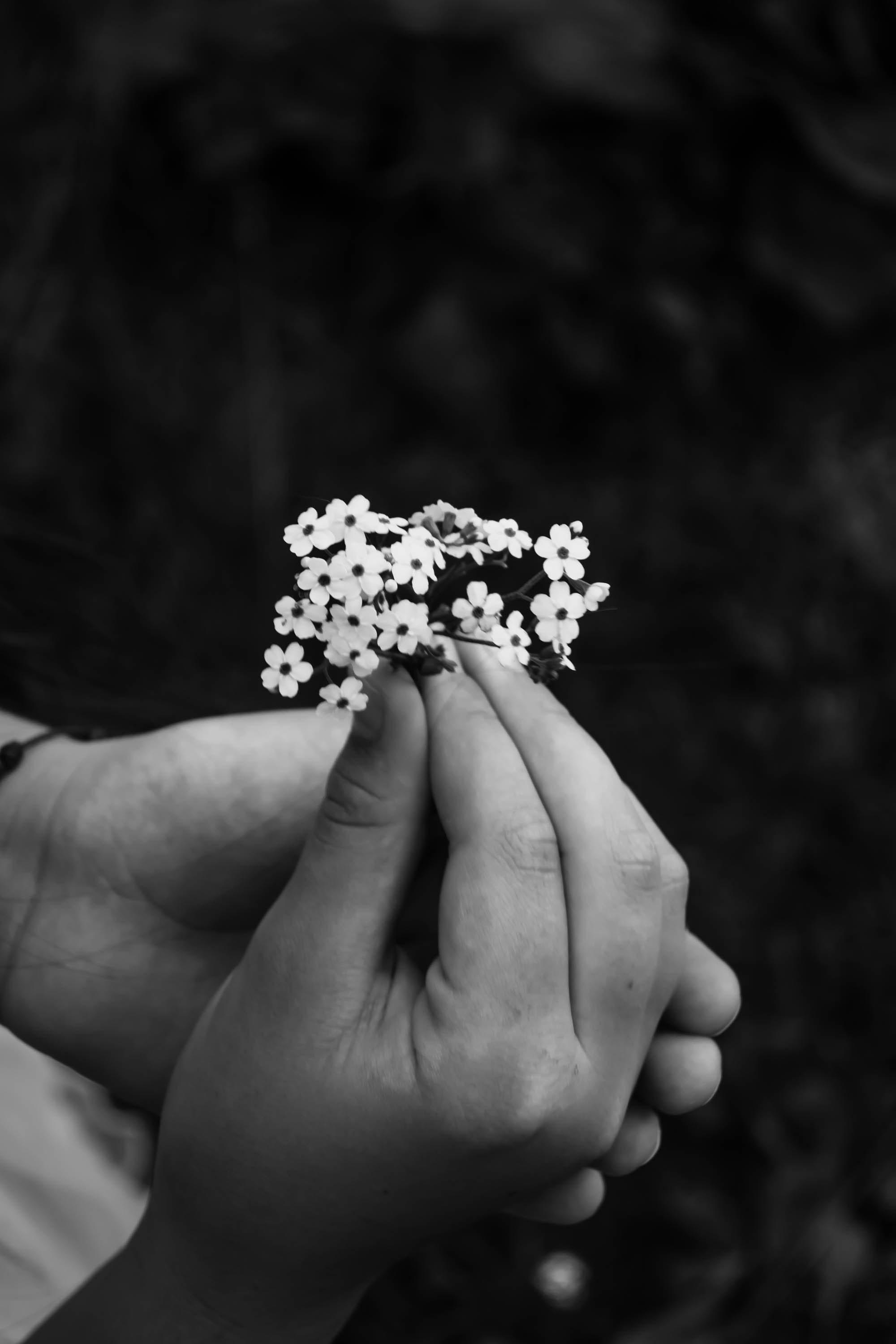 ЮЛЯ + ВАРЯ + МАРУСЯ. Фотограф Анастасия Броварник в Санкт-Петербурге