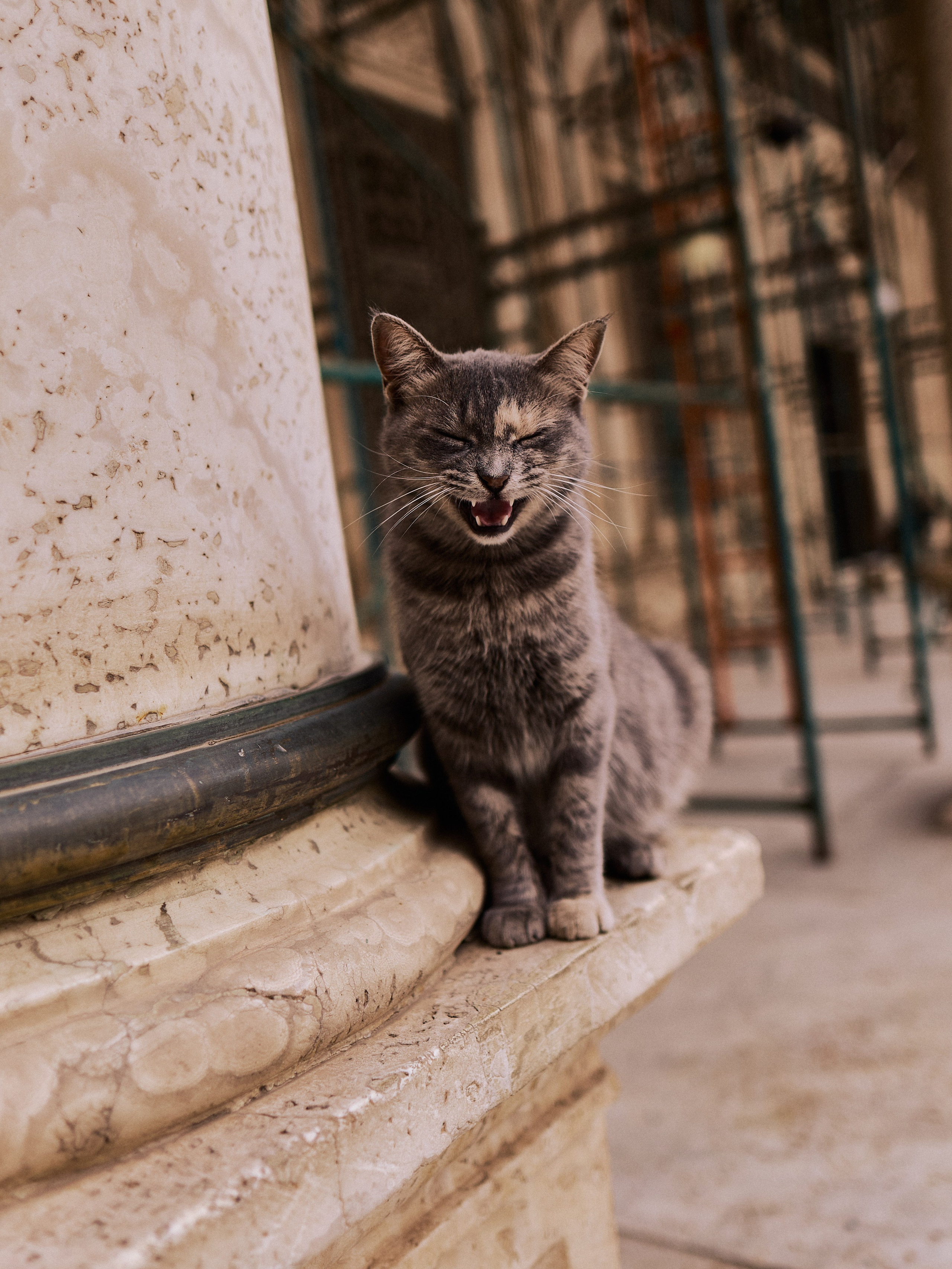 Другое 4. Jorgis — фотограф в Хургаде / обучение фотографии