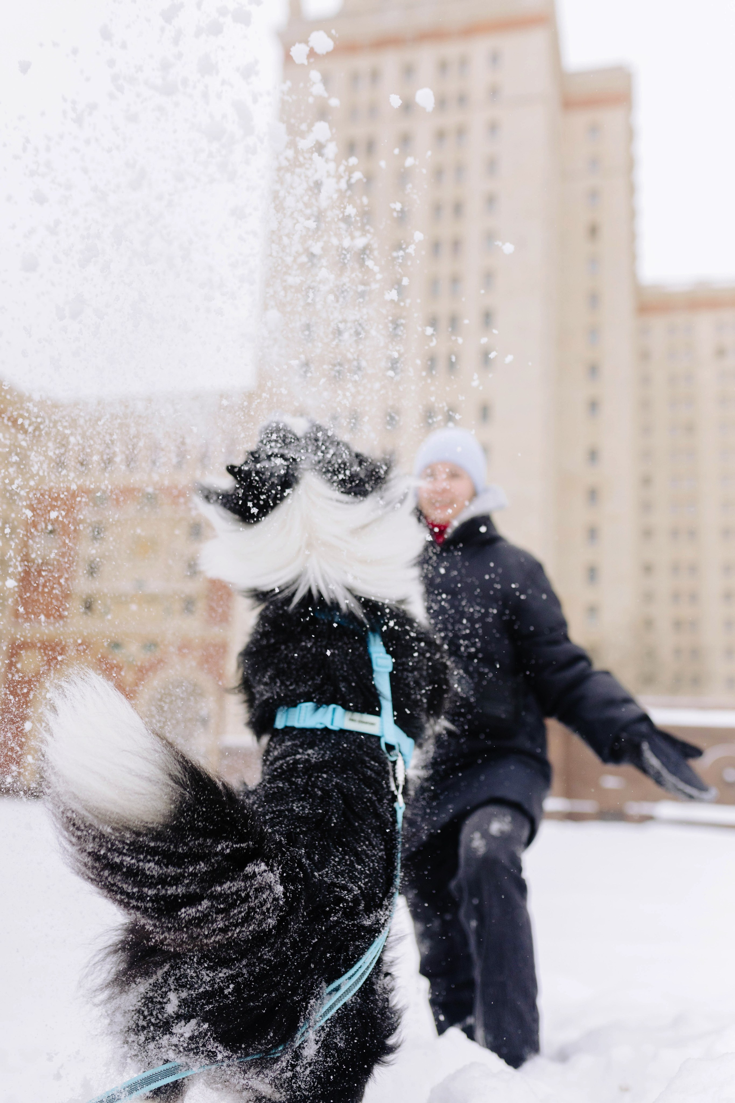 Москва / Лера и Саймон. Фотограф Кузина Вера
