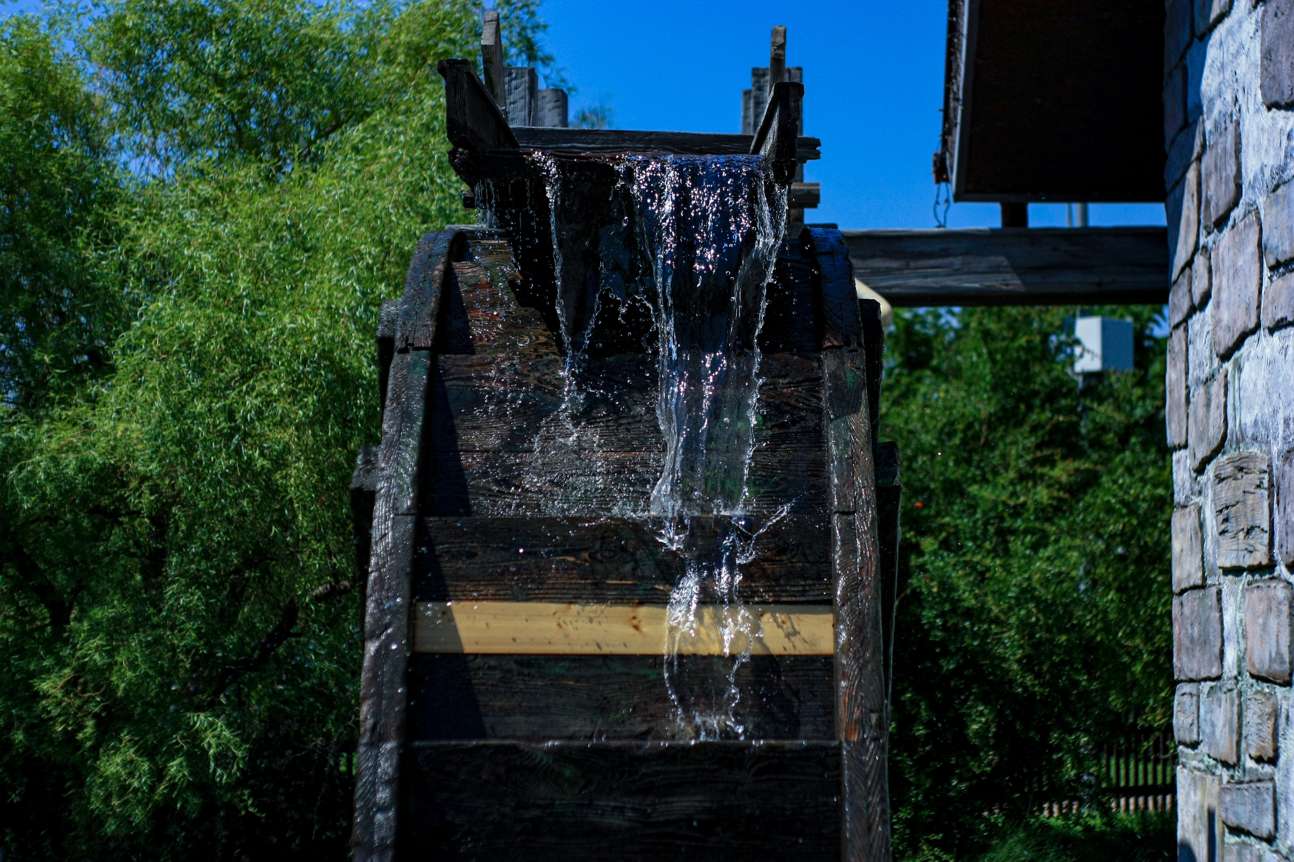 Первые кадры. Сочи — парк. Фотограф Роман Адлер