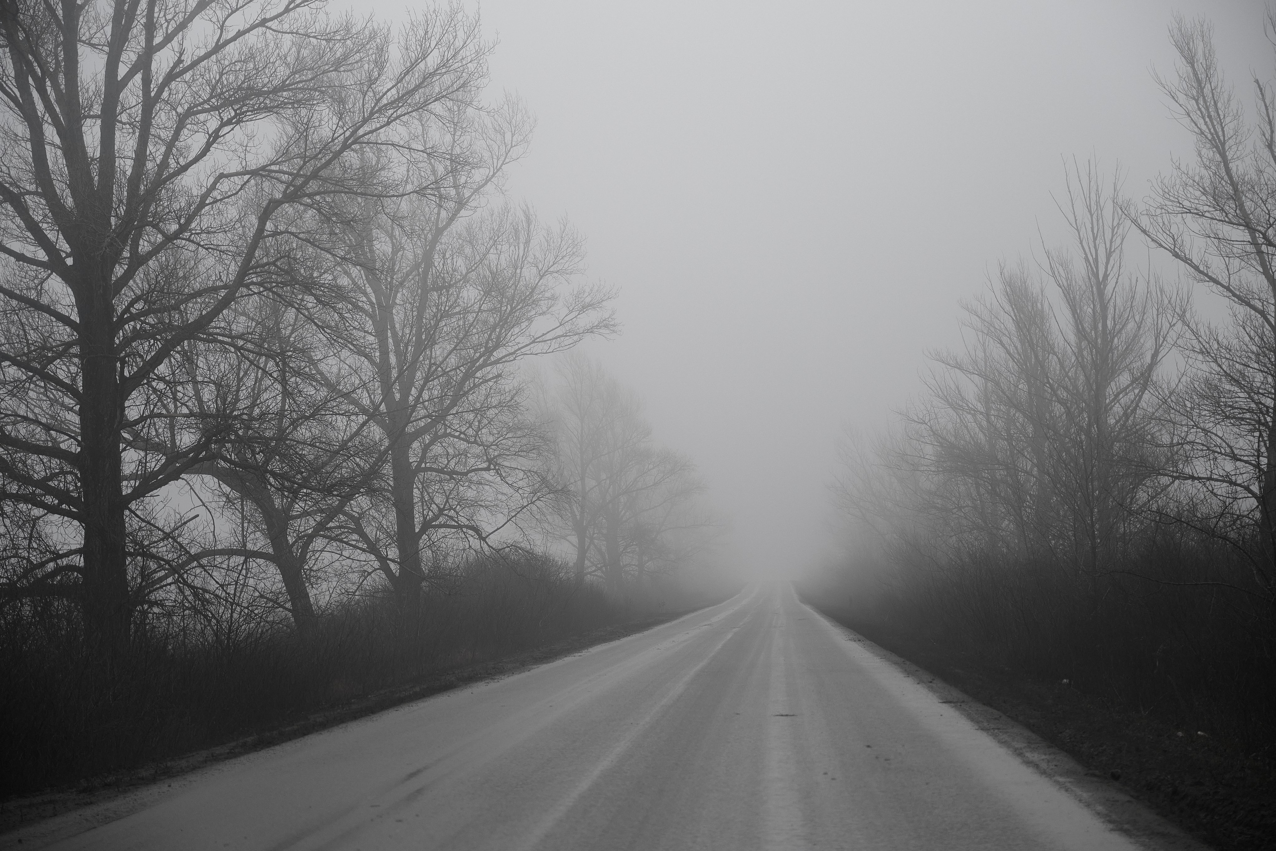 Дорога домой. Туман. Фотограф Роман Адлер