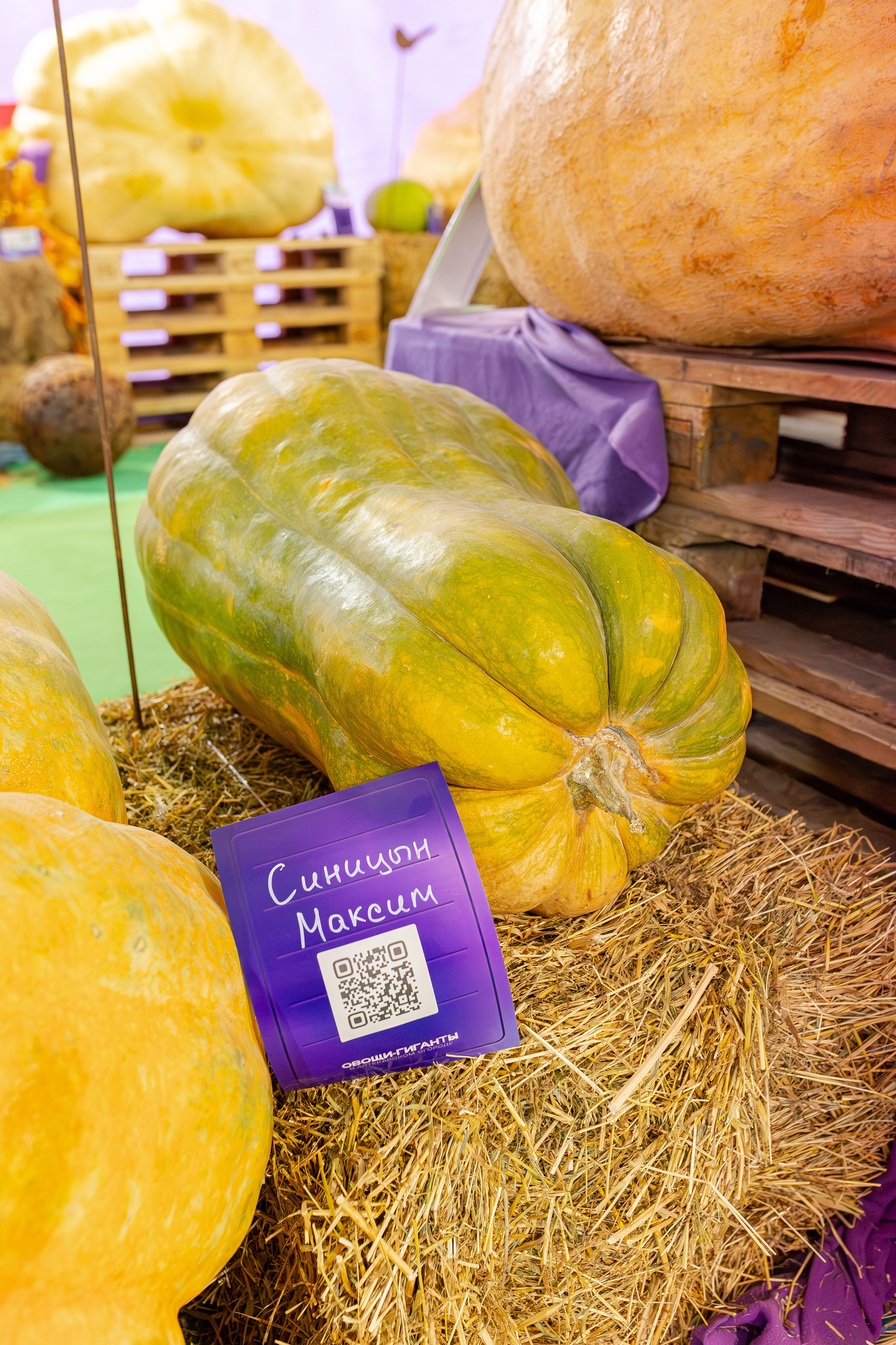 Овощи-гиганты. Александра Куликова фотограф, Москва