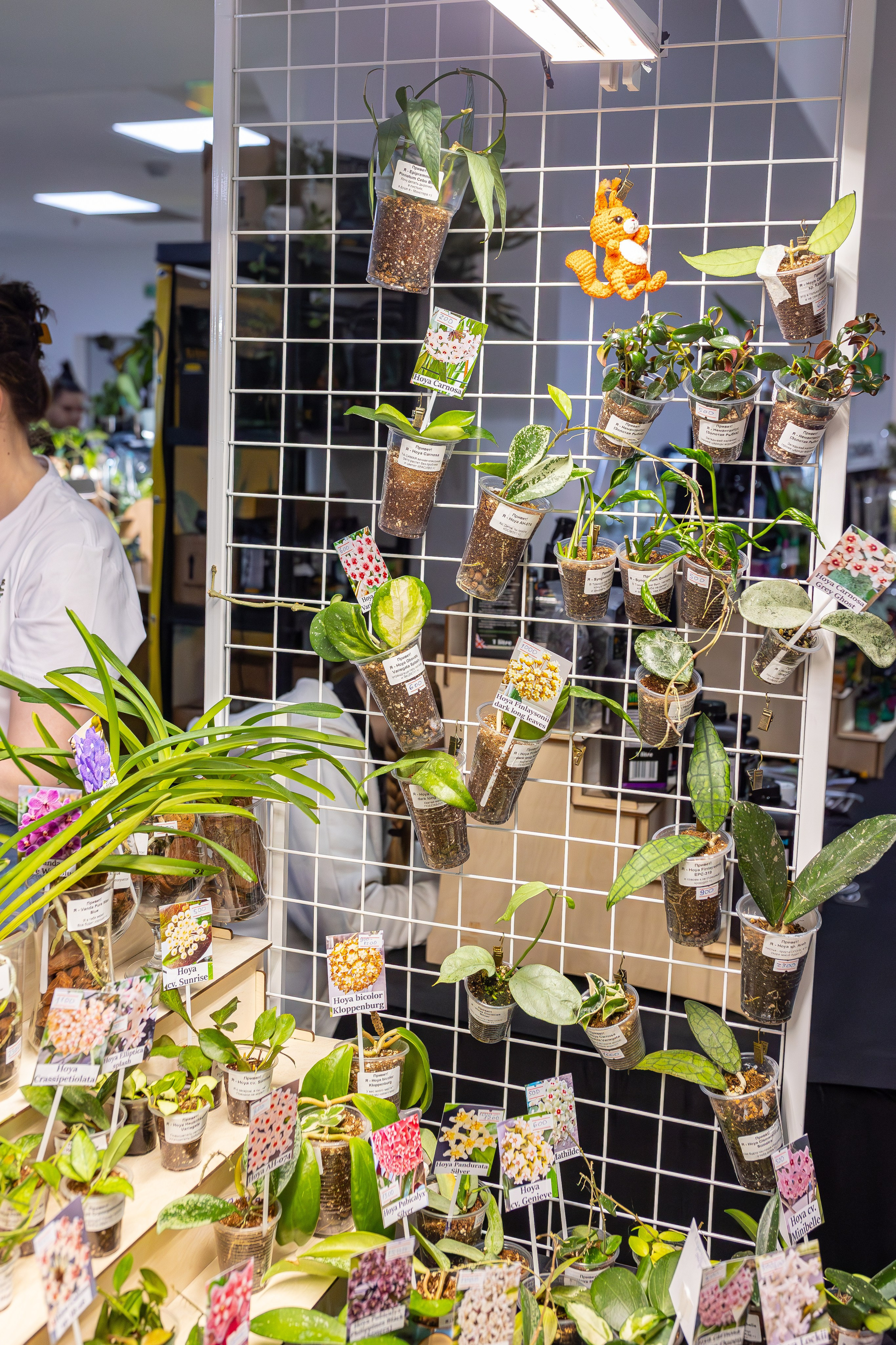 Монстериум апрель 2026. Александра Куликова фотограф, Москва