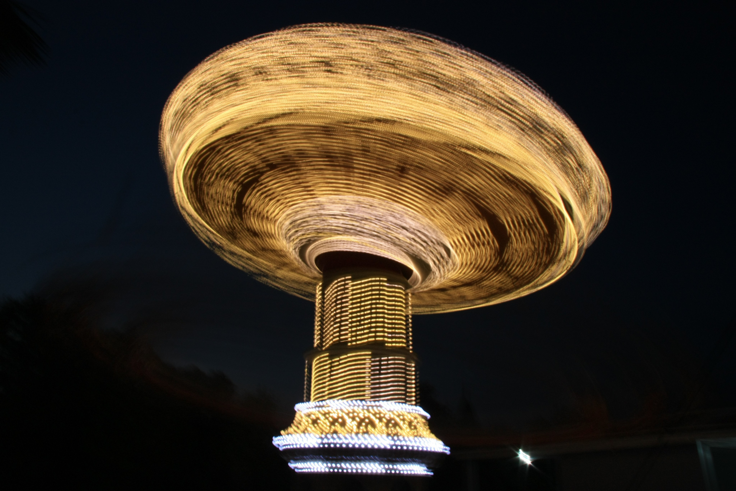 Первые кадры. Сочи — парк. Фотограф Роман Адлер