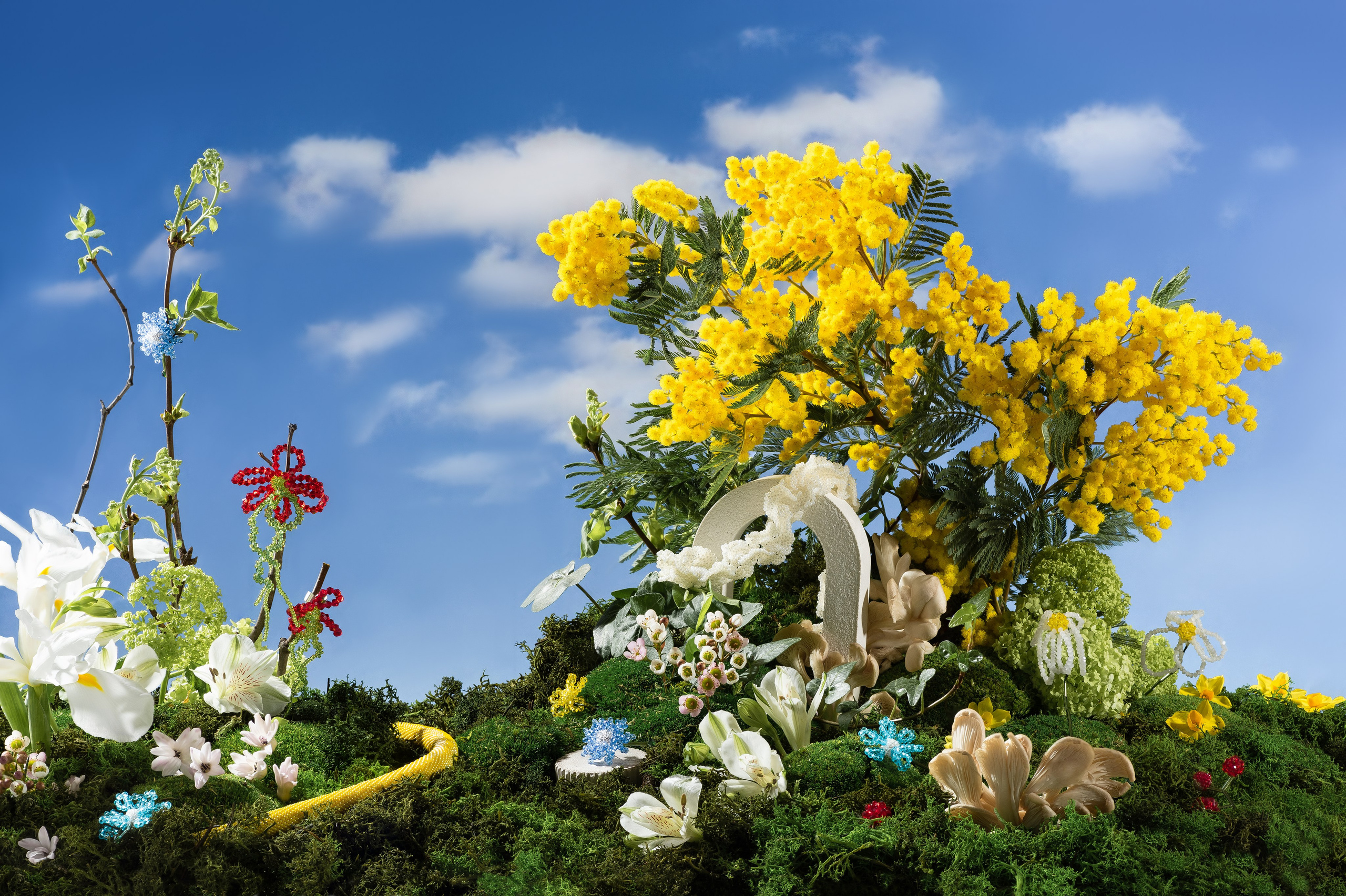 Украшения. Предметная фотография