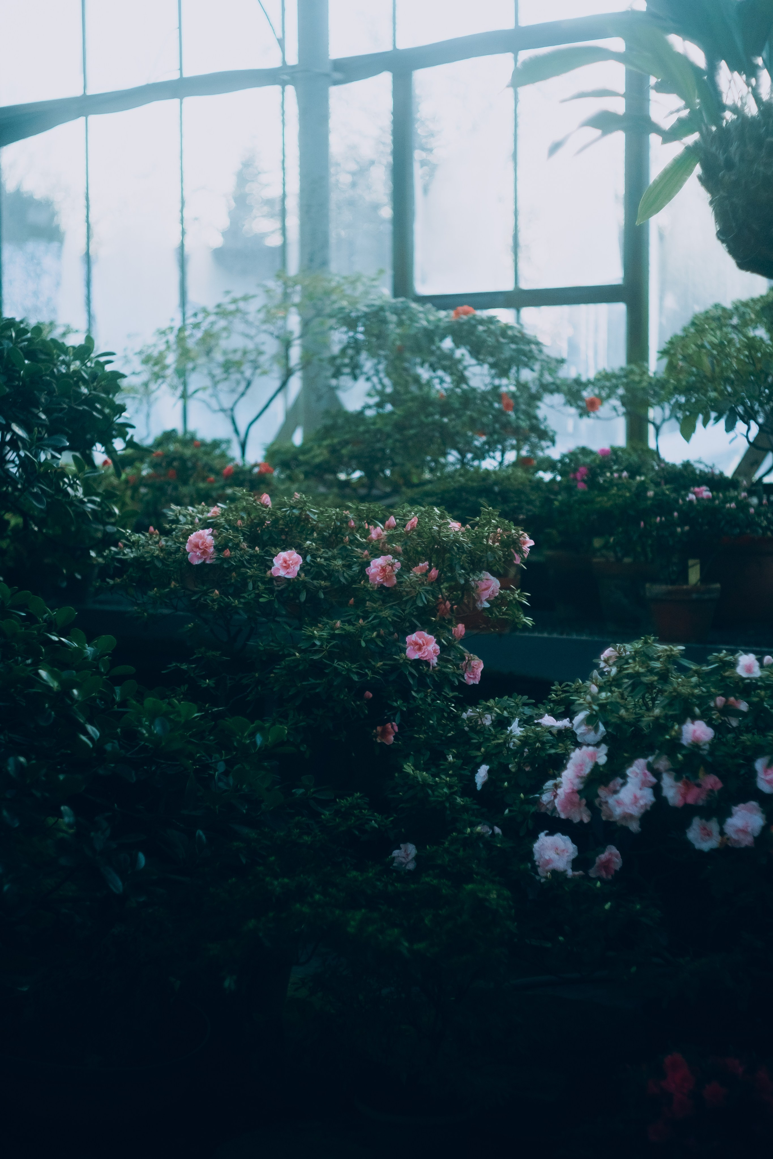 Botanical. Портретный и свадебный фотограф в Москве и Санкт-Петербурге. Учитель фотографии онлайн и оффлайн