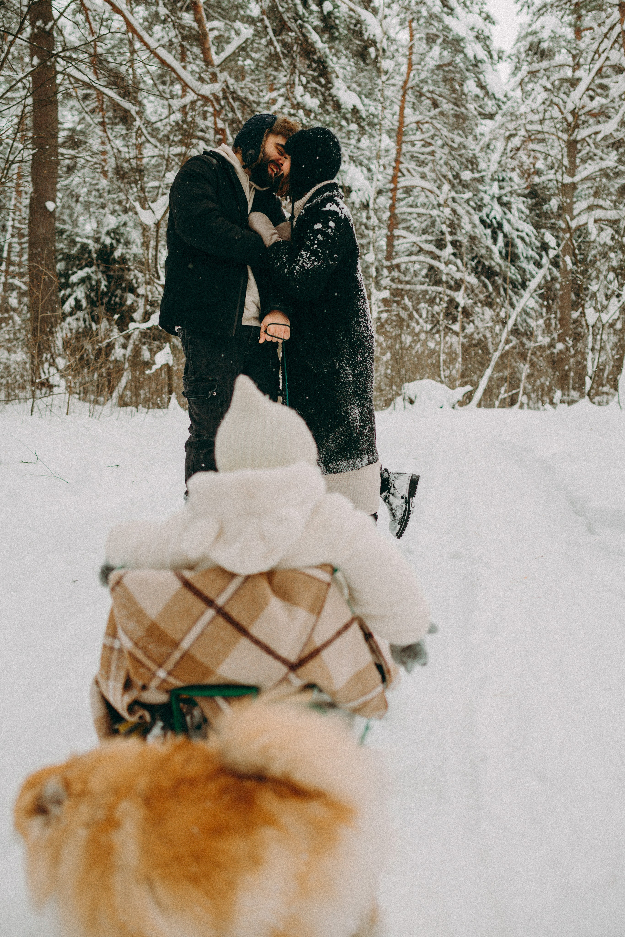 Семейные фотосессии. Фотограф Алиса Чечина. Калуга. Товарково