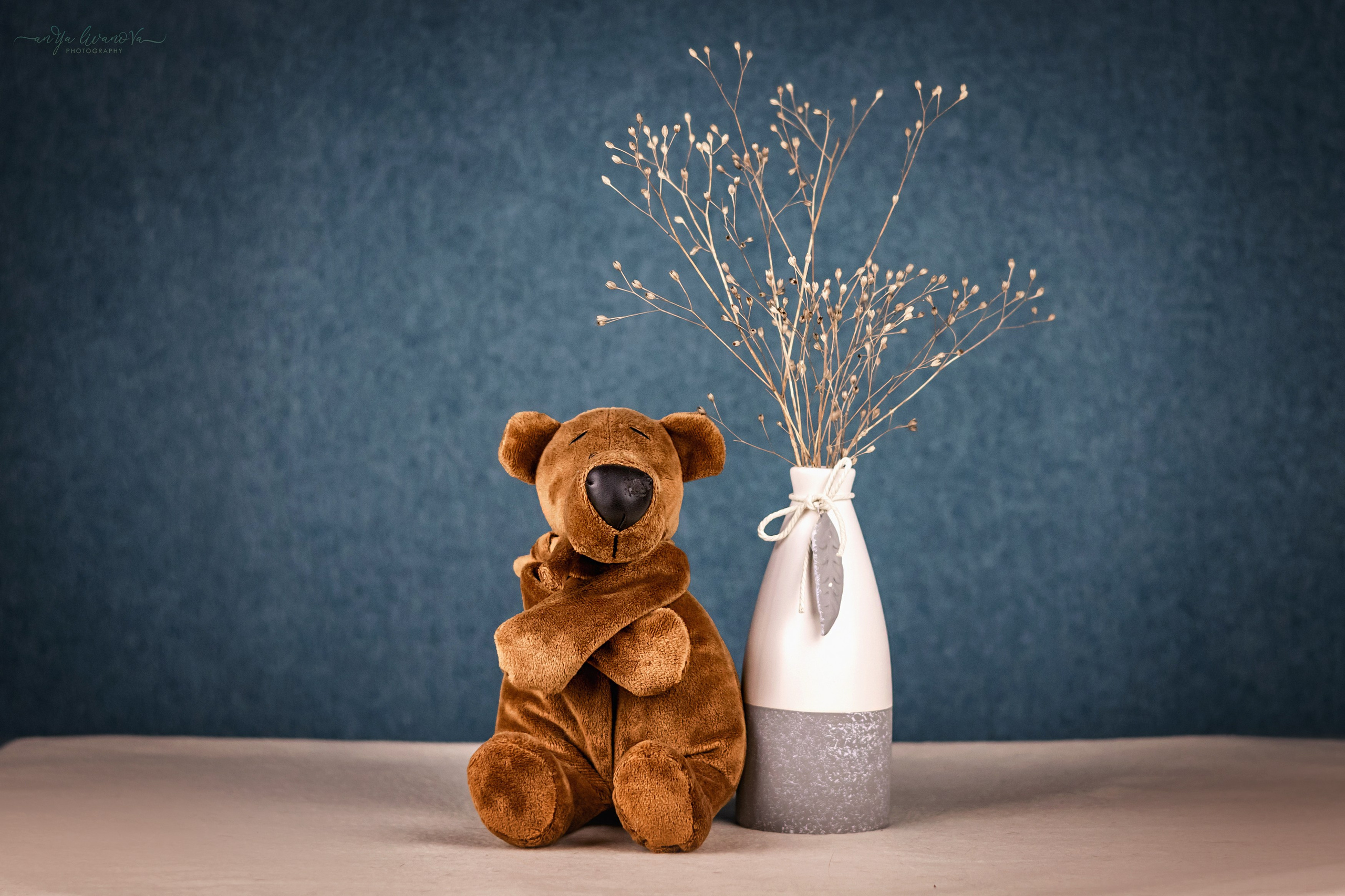 Бирюзовый фон. Фотограф анималист Аня Ливанова | Рыбинск