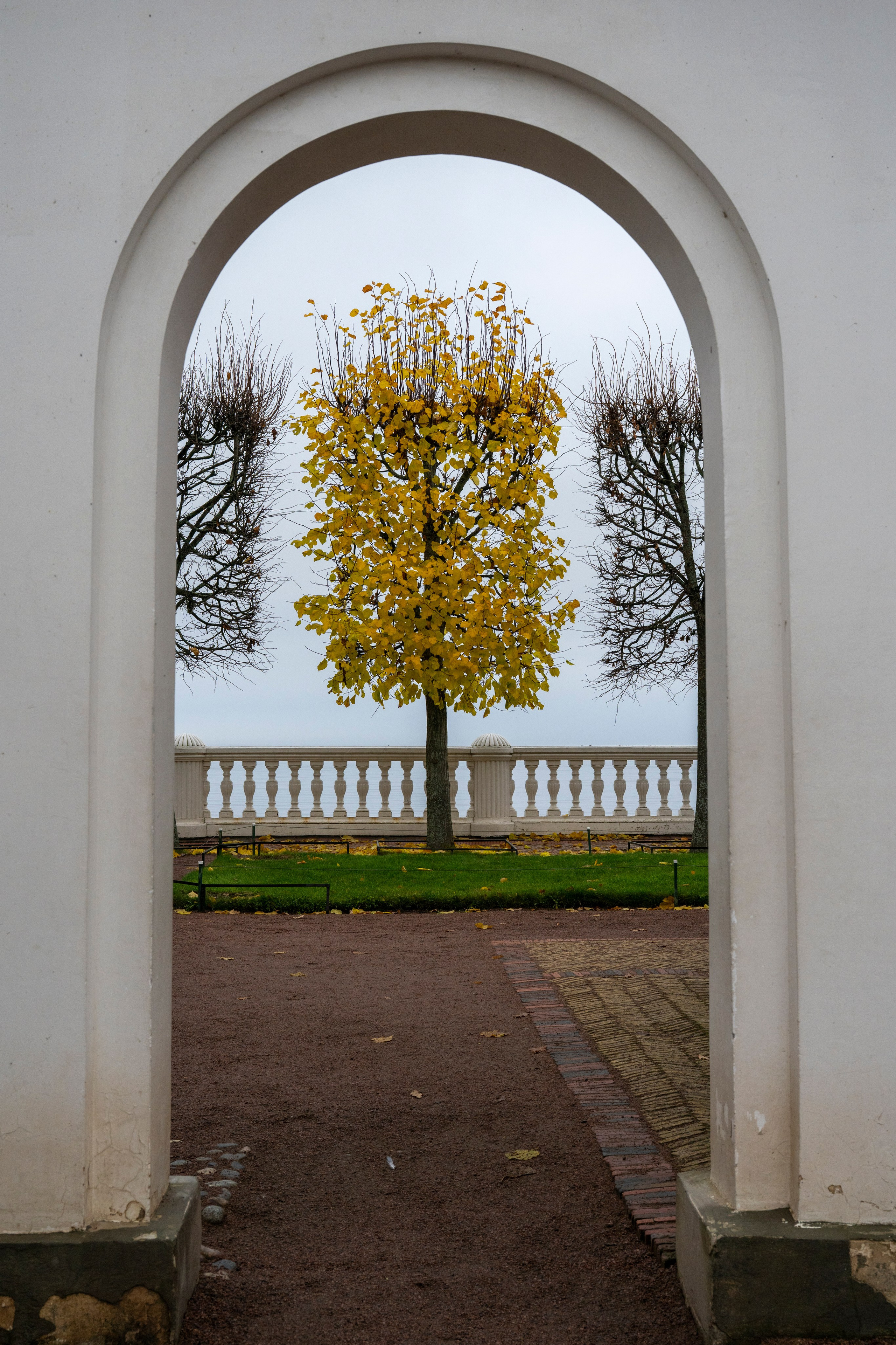 Dimitri Bakhtadze, colour photos. Dimitri Bakhtadze photographer