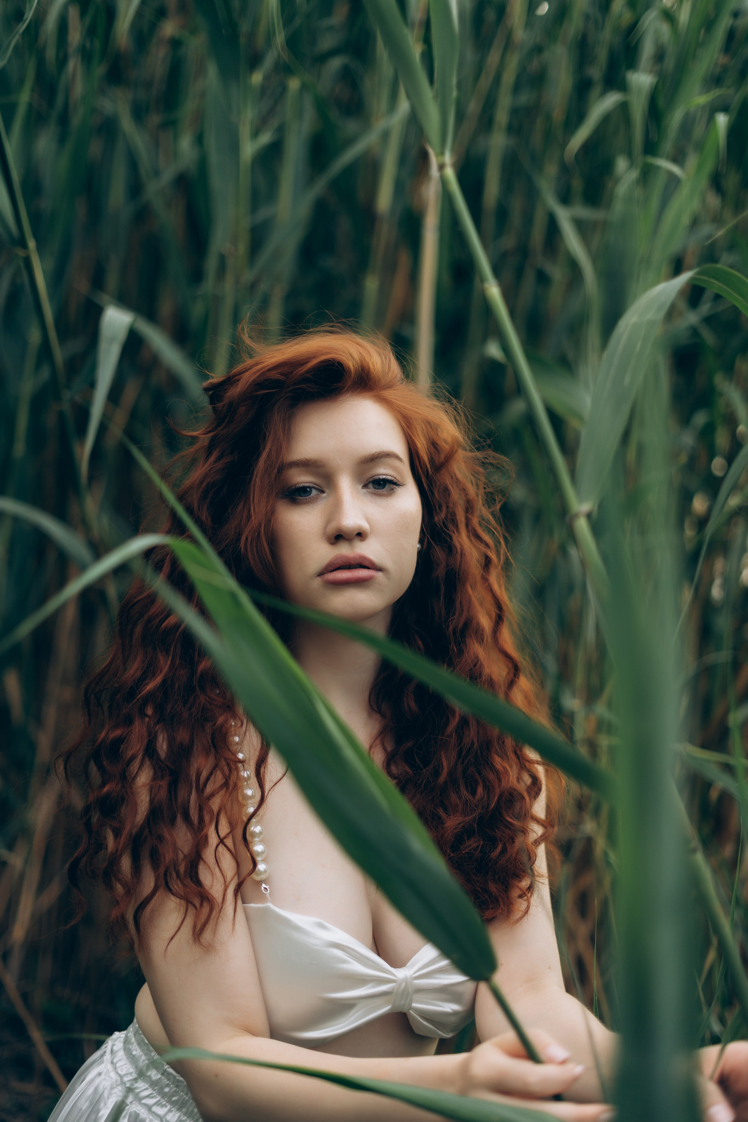 Аполлинария