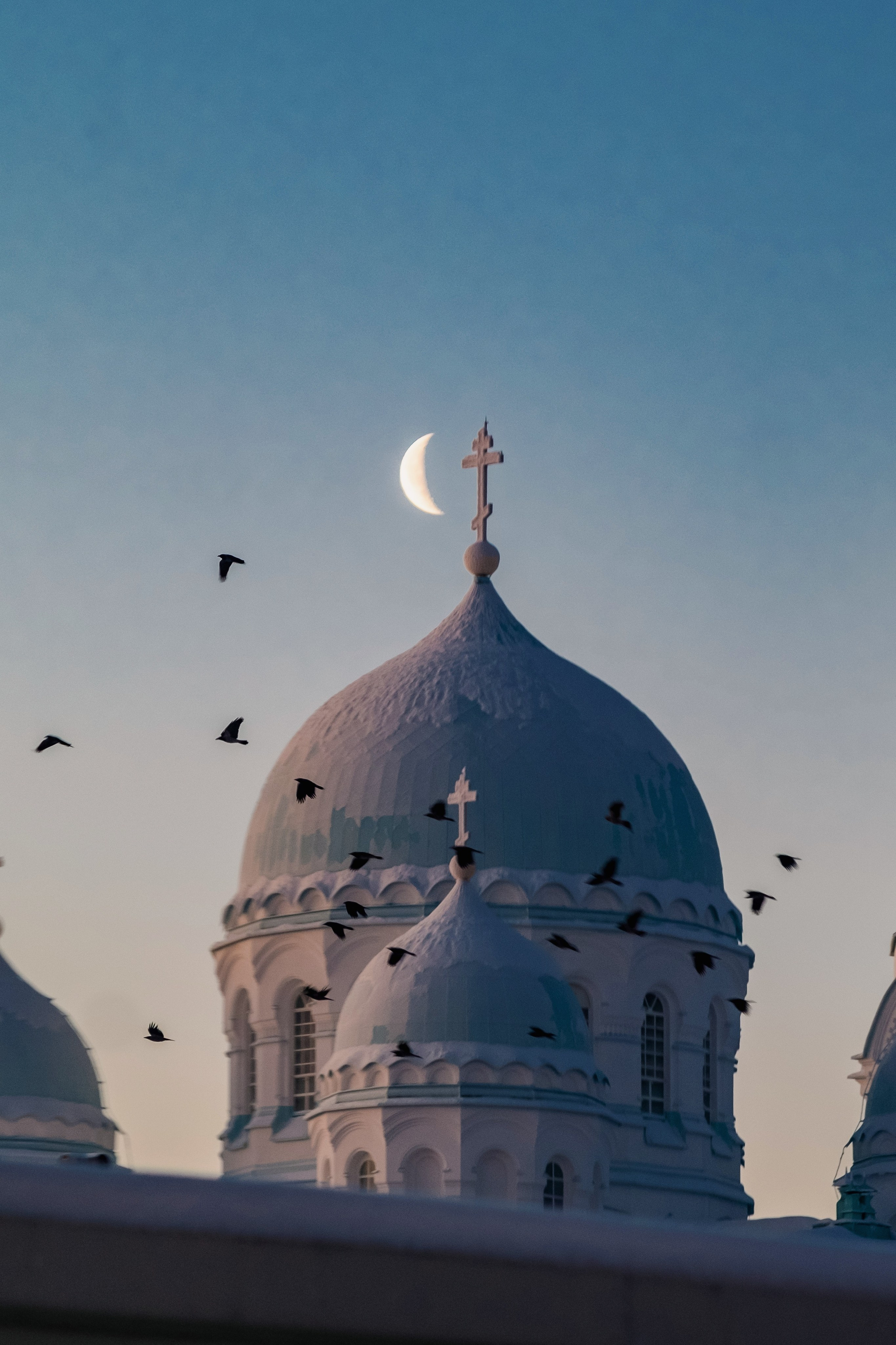 Природа. Трандин Иван Фотограф СПб