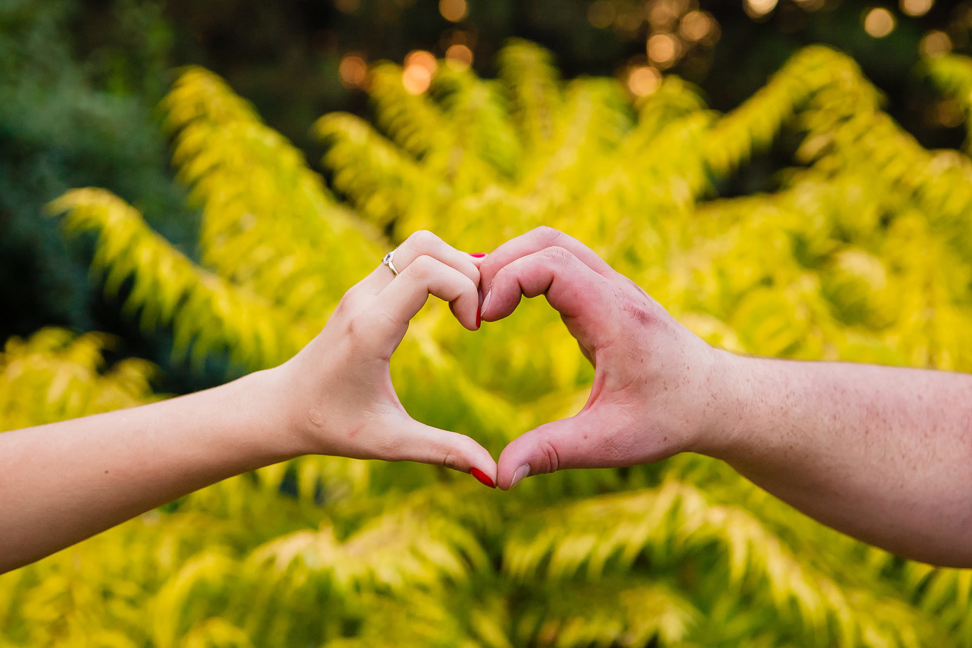 Профессиональный свадебный фотограф, видевший разные свадебные платья,. Свадебный и семейный фотограф Алматы Владимир Акуленко