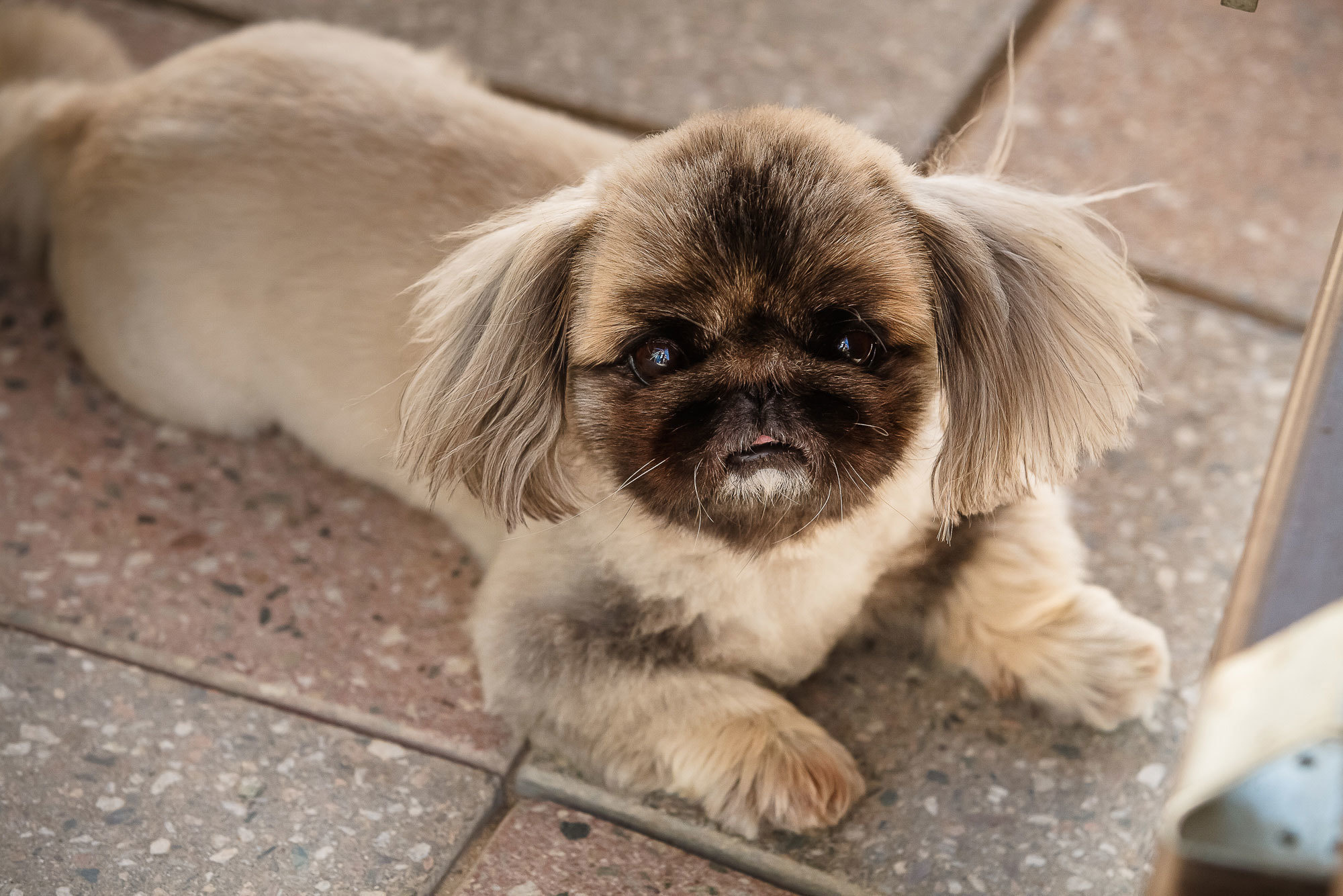 Ваш свадебный фотограф в Алматы - Владимир Акуленко. Свадебный и семейный фотограф Алматы Владимир Акуленко
