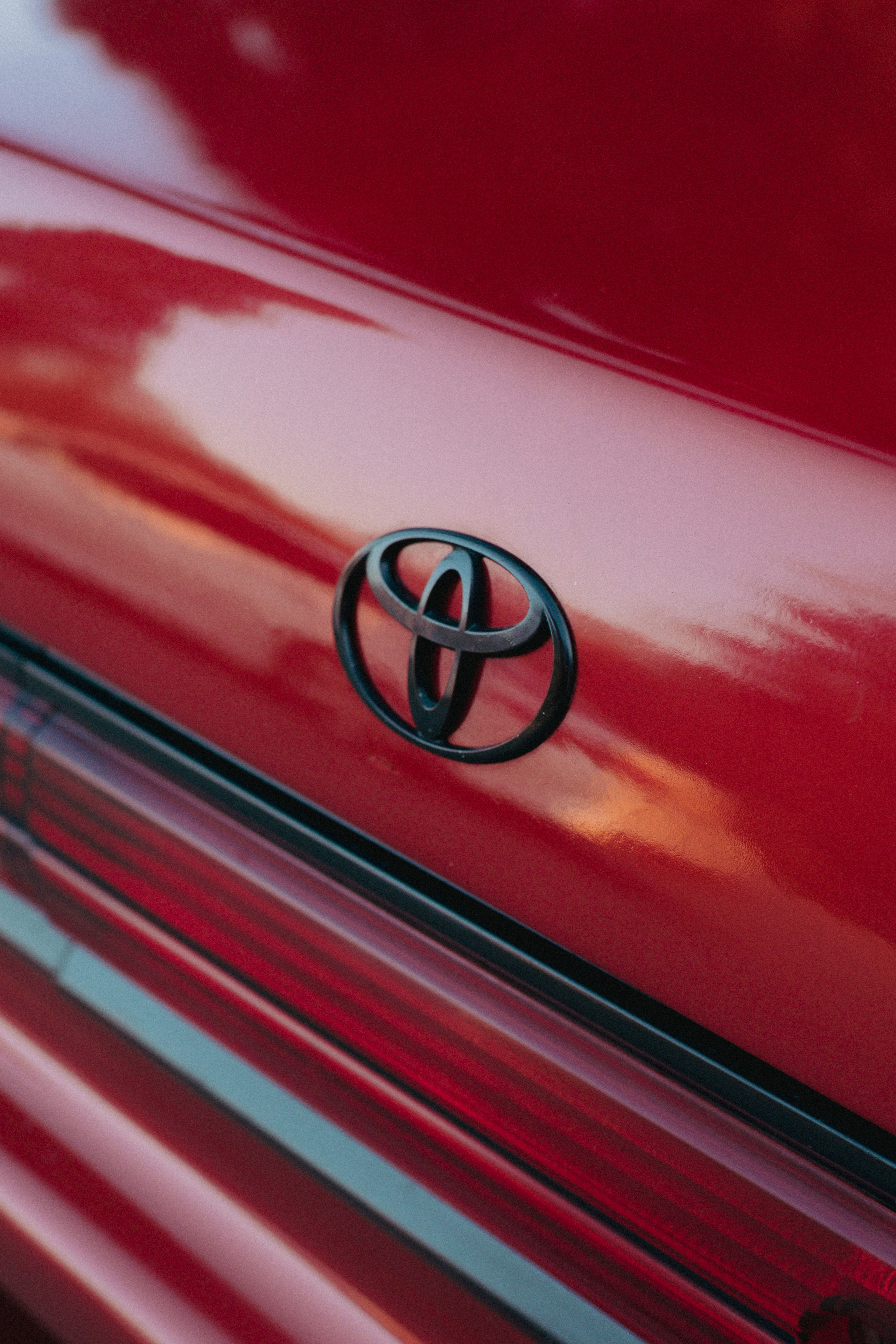 Марк ll. ФОТОГРАФ АННА КАЗАРЯН