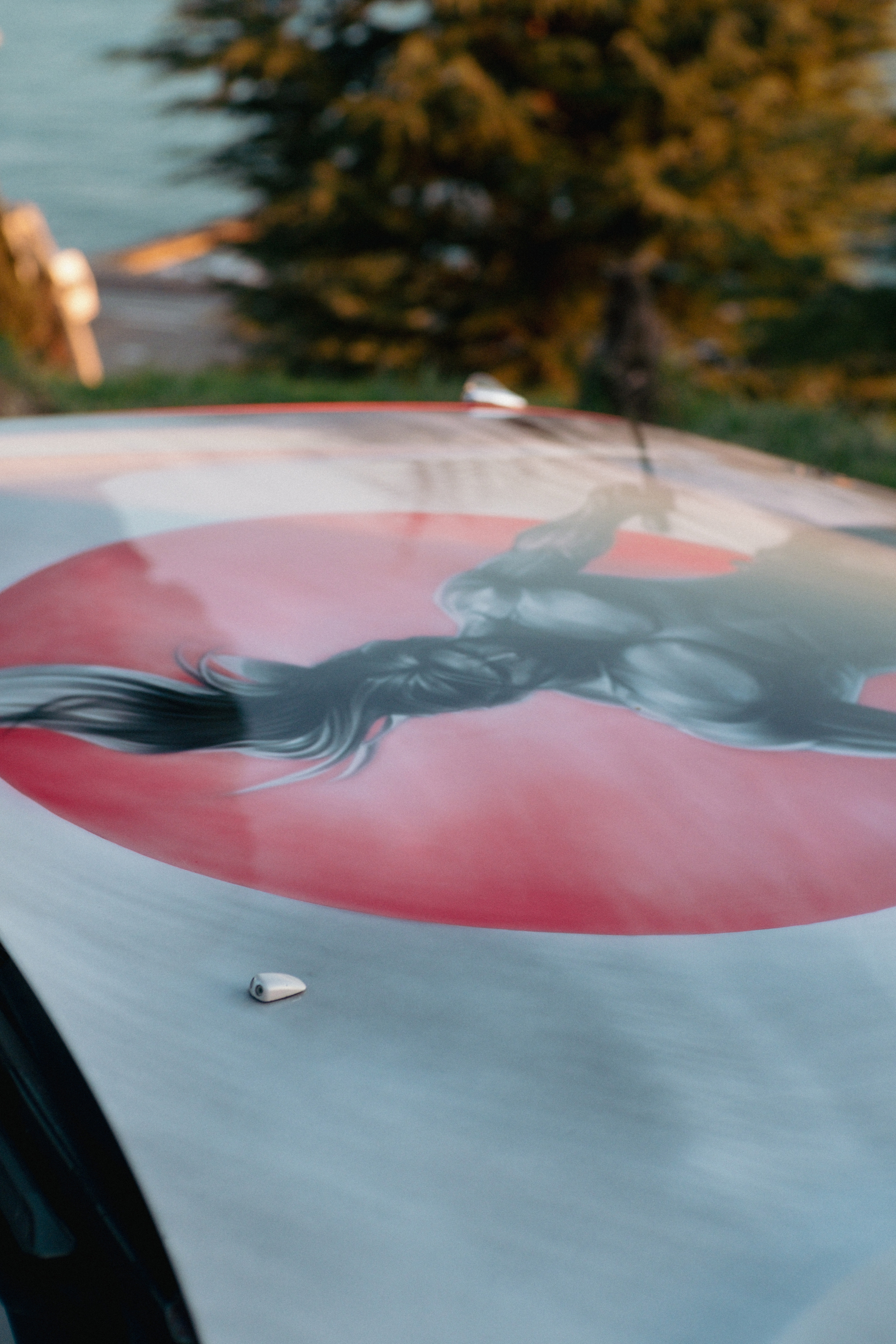 Марк ll. ФОТОГРАФ АННА КАЗАРЯН