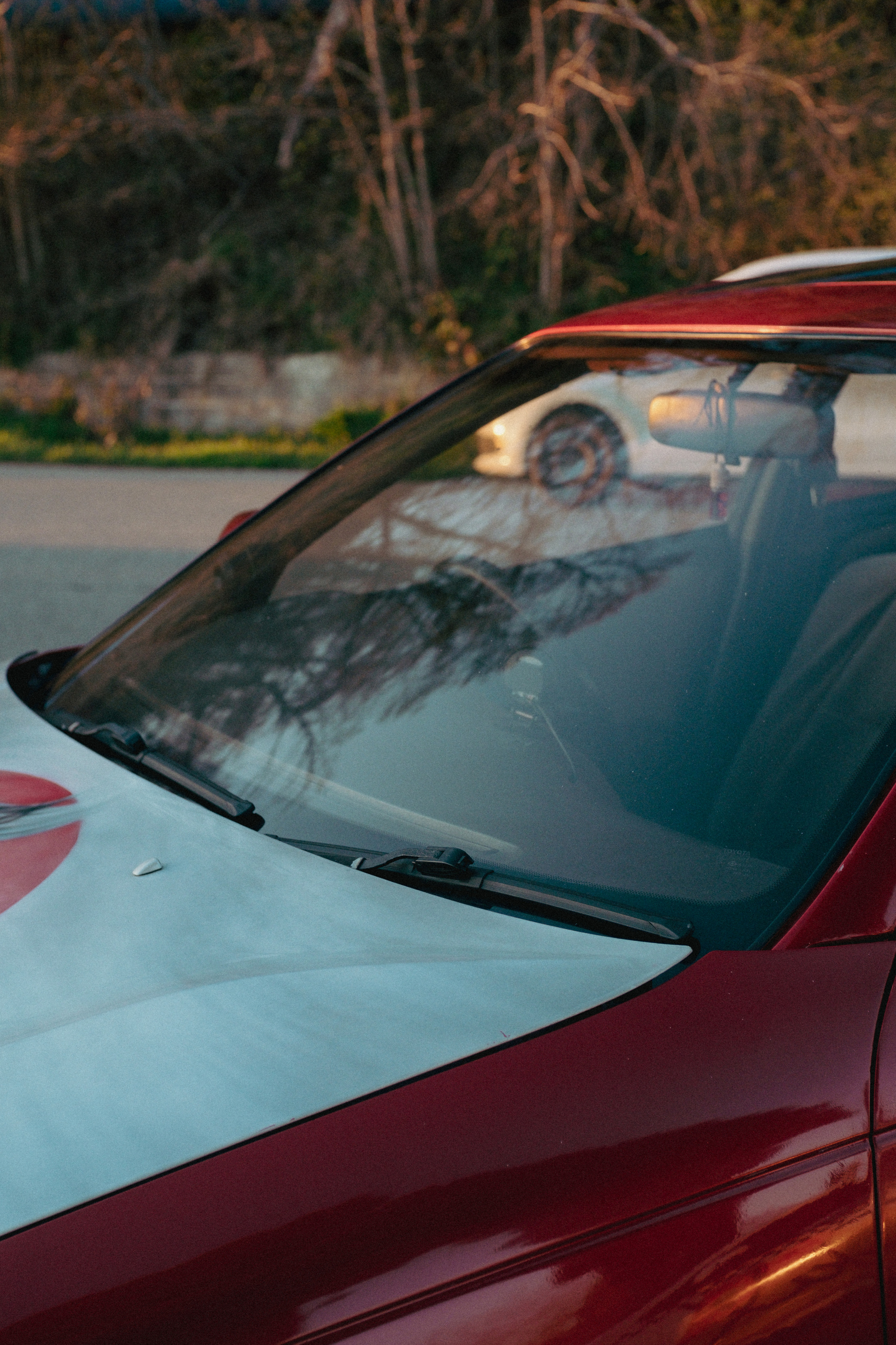 Марк ll. ФОТОГРАФ АННА КАЗАРЯН