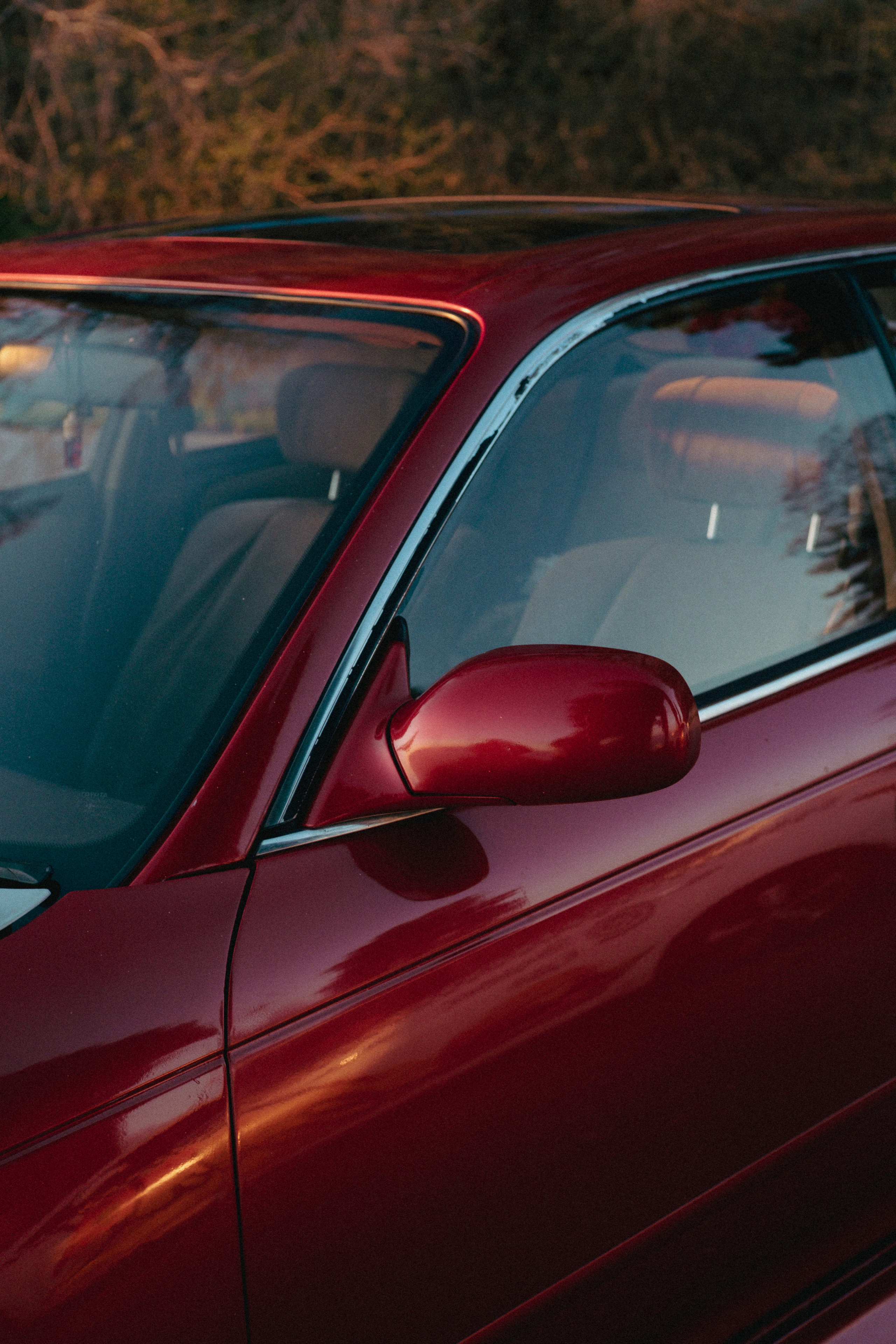 Марк ll. ФОТОГРАФ АННА КАЗАРЯН