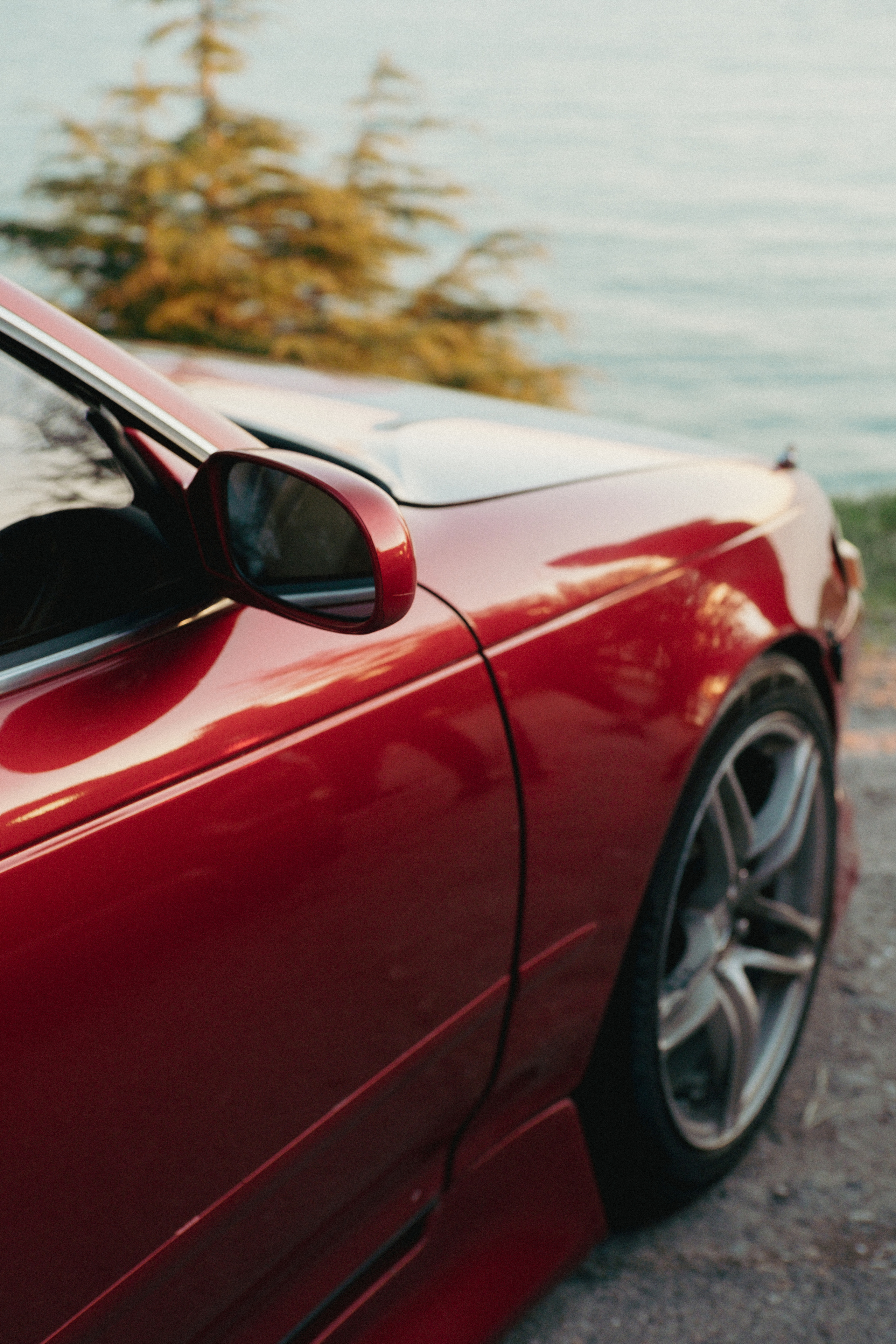 Марк ll. ФОТОГРАФ АННА КАЗАРЯН