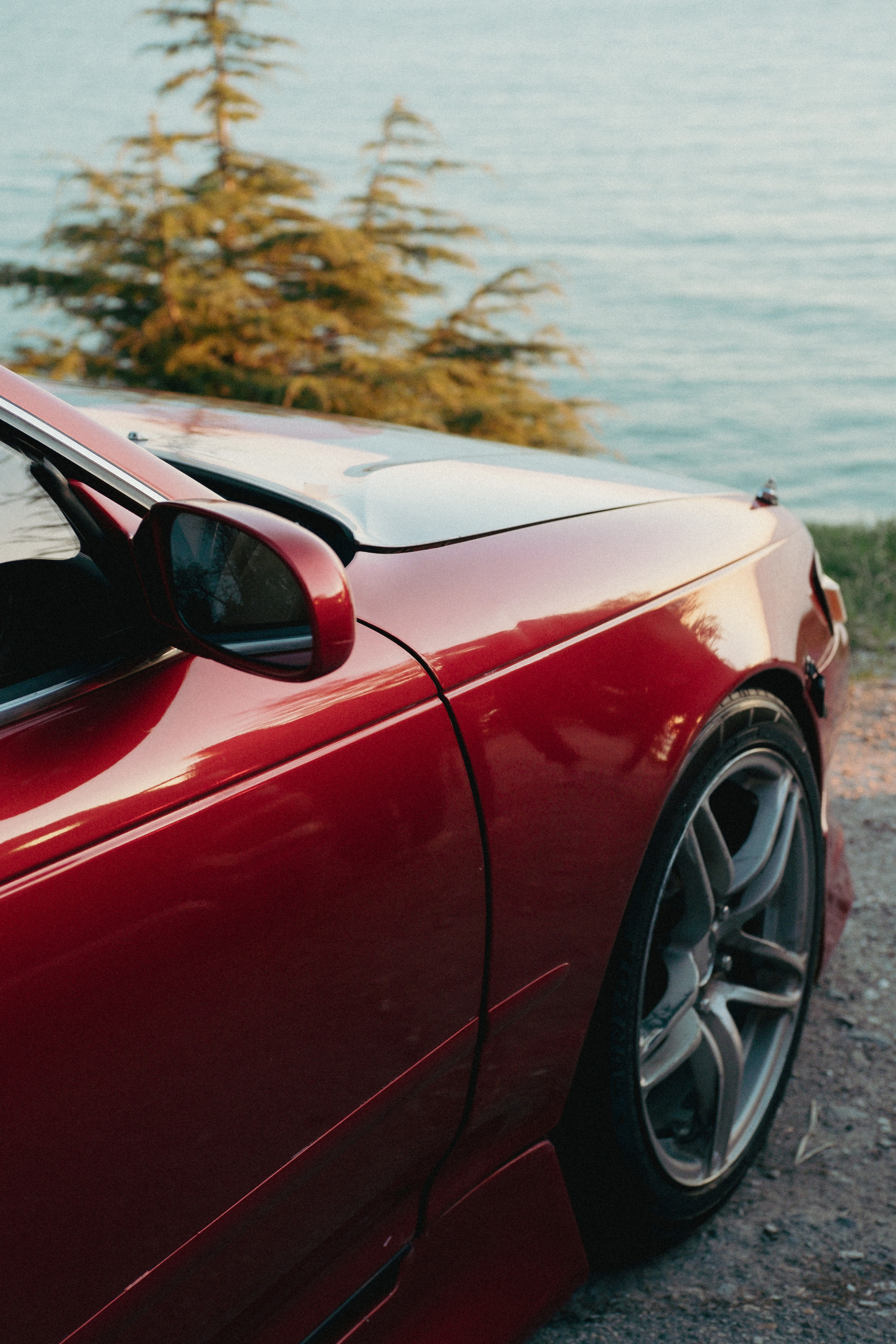 Марк ll. ФОТОГРАФ АННА КАЗАРЯН