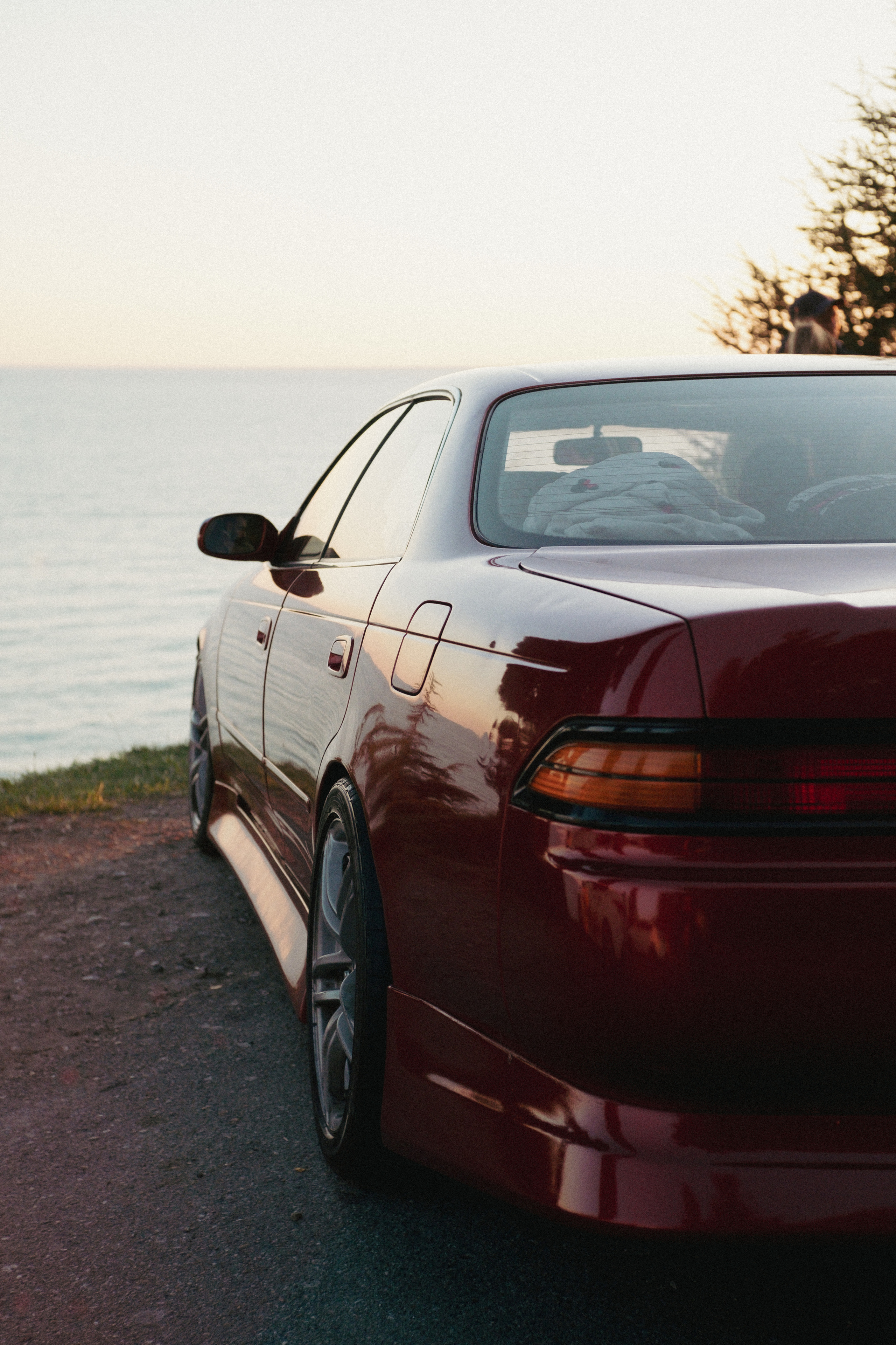 Марк ll. ФОТОГРАФ АННА КАЗАРЯН