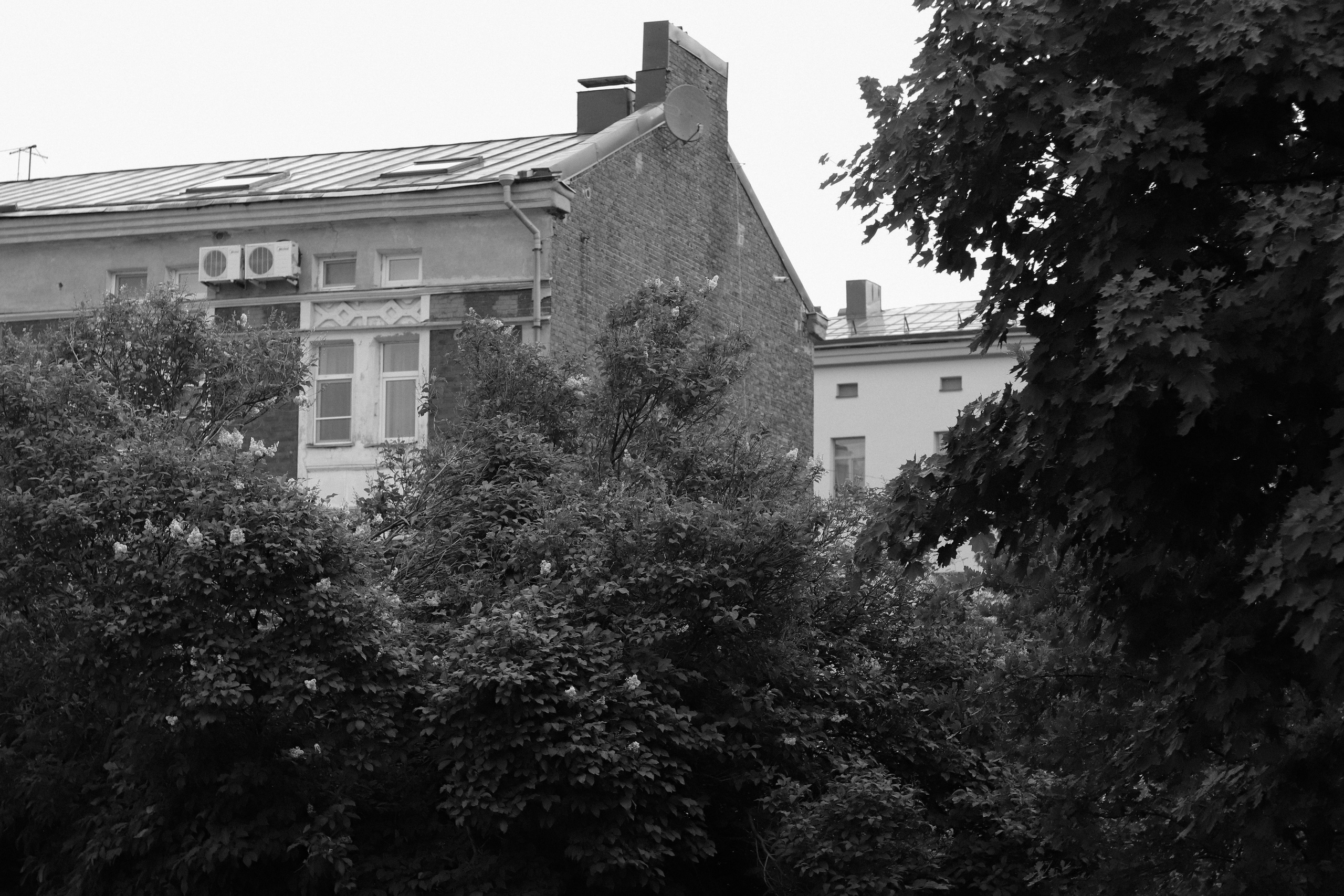 Contour. Фотограф и исследователь фотографии из Санкт-Петербурга Елизавета Веприцкая