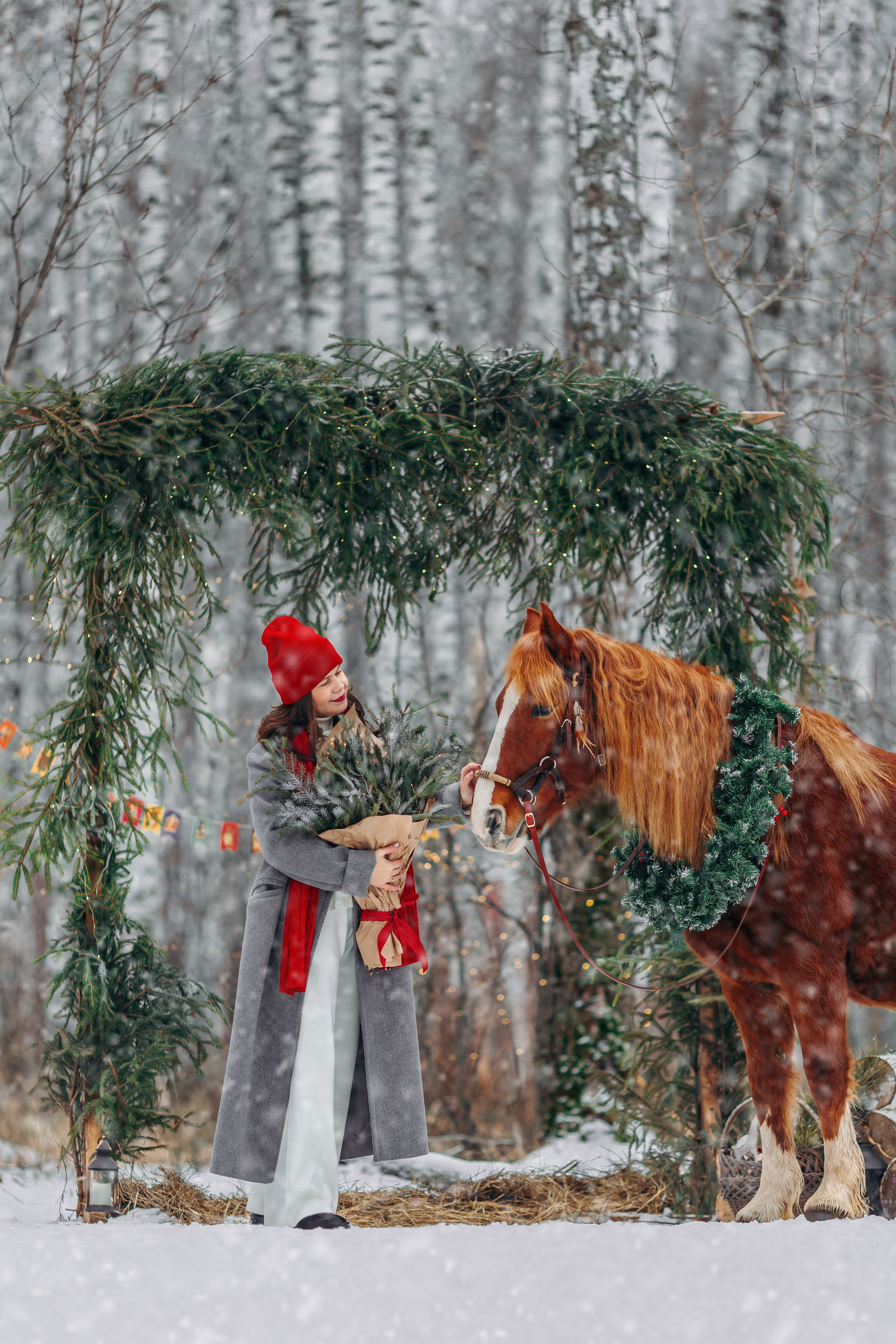Тариф Новогодний 2025-2026. Анна Молчанова конный фотограф в Тюмени | фотосессии с лошадьми Тюмень