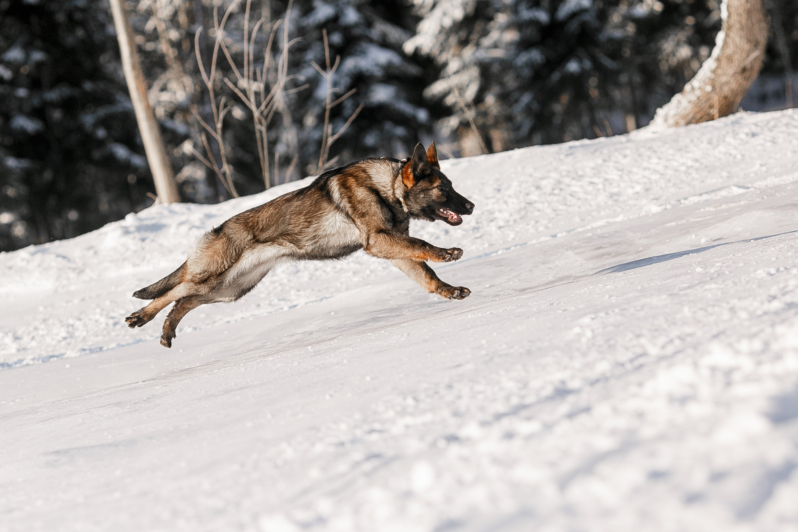 Репортажный фотограф Борис Геер