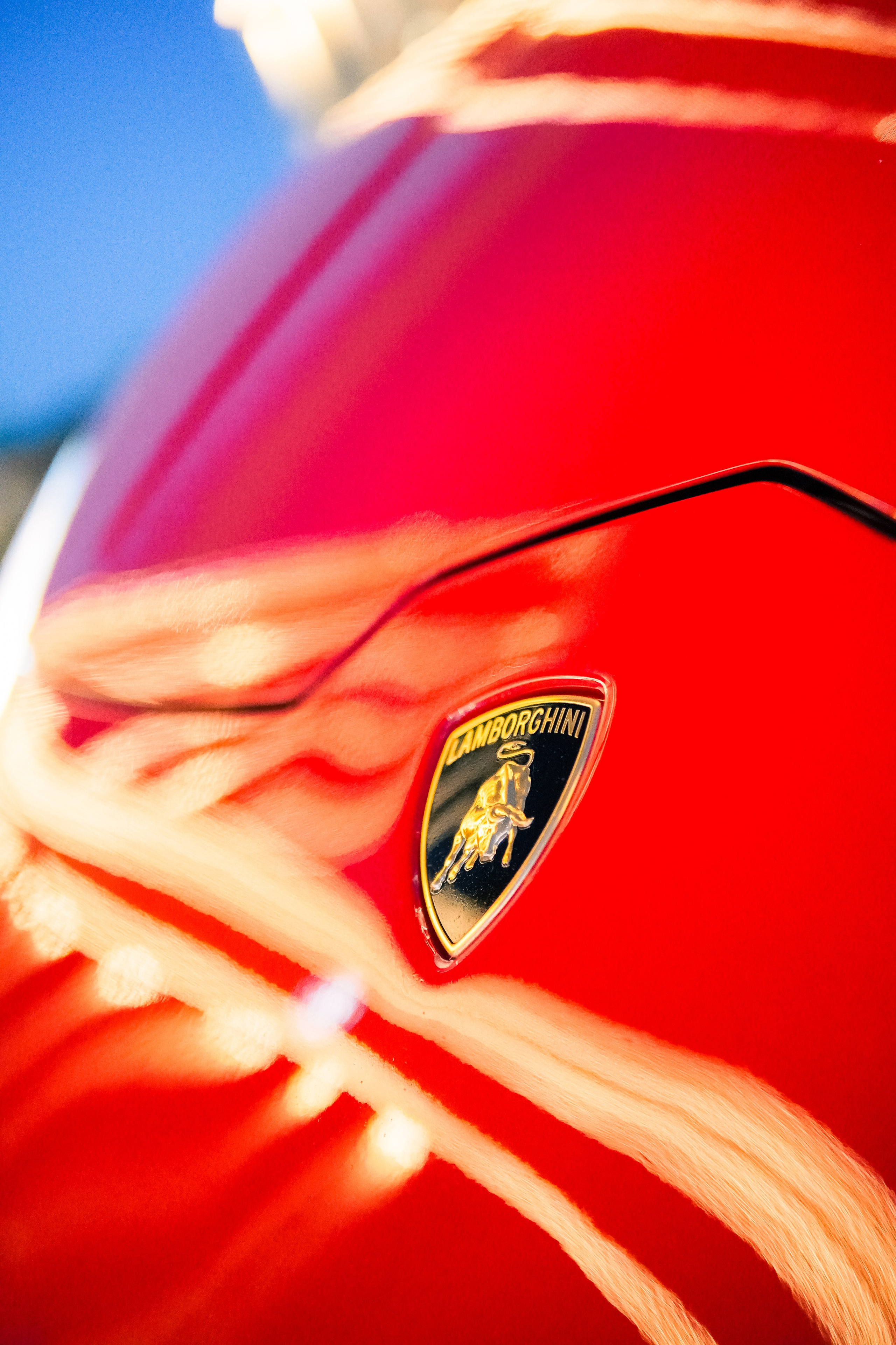 Lamborgini Huracan EVO coupe. AutoAlexArt