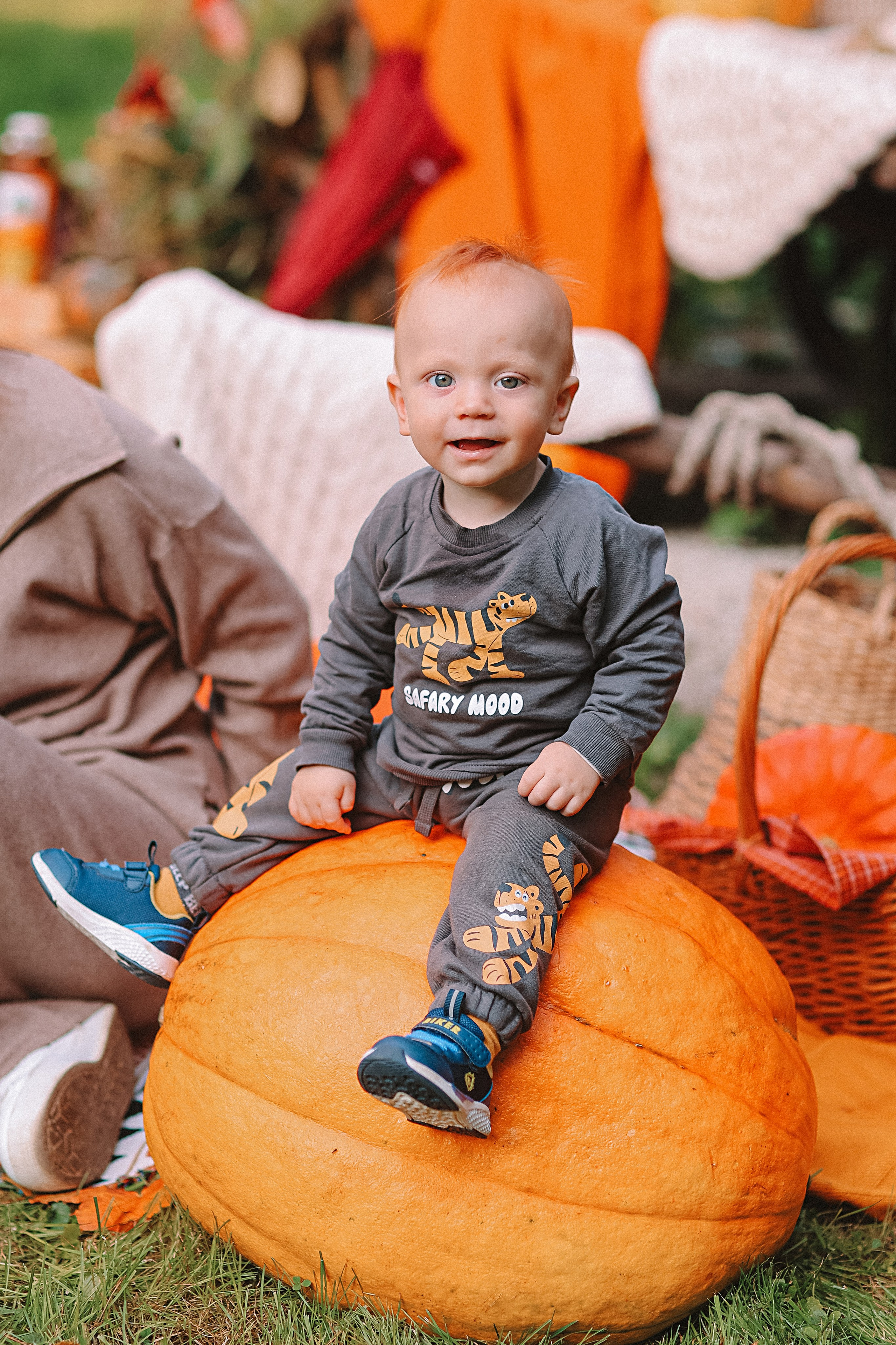 Тыквы. Семейный фотограф Тюмень, фотограф на роды Салмина Мария