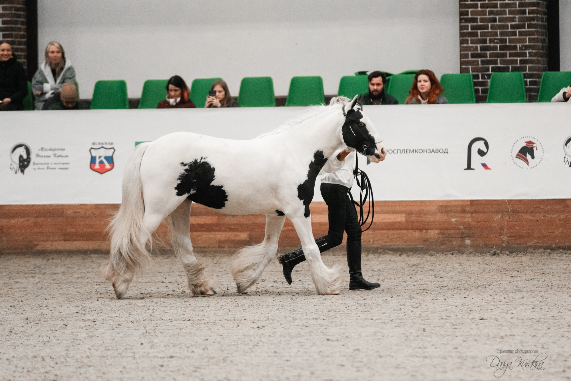 8-я международная выставка Конная Россия. Конный фотограф Куракина Дарья • Фотосессии с лошадьми